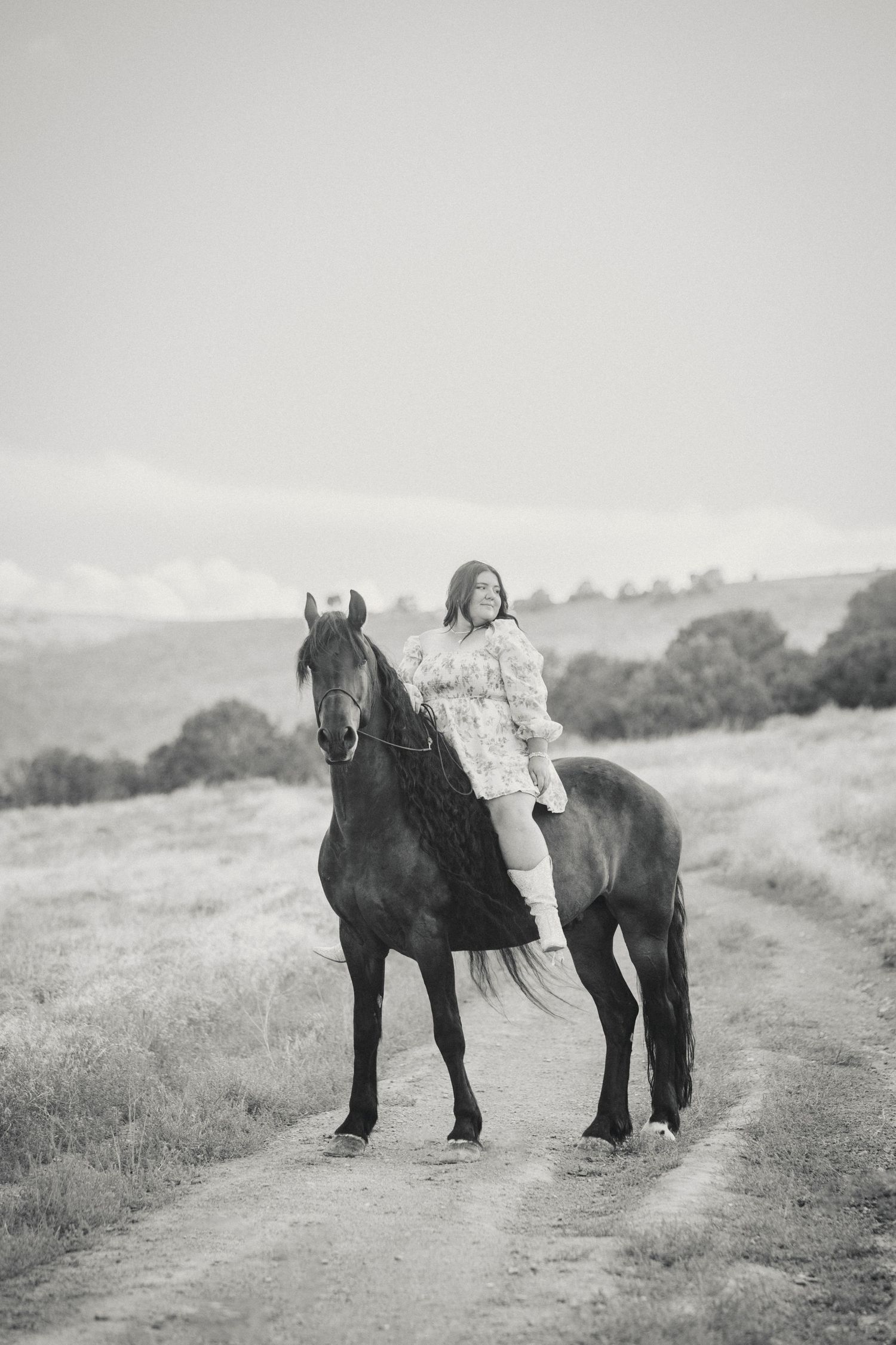 Black and white photos of a horse and companion walking together along a misty countryside path.