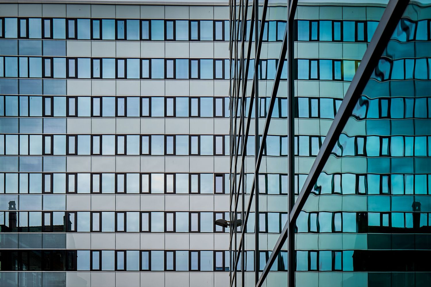 CaniNickels-Photography