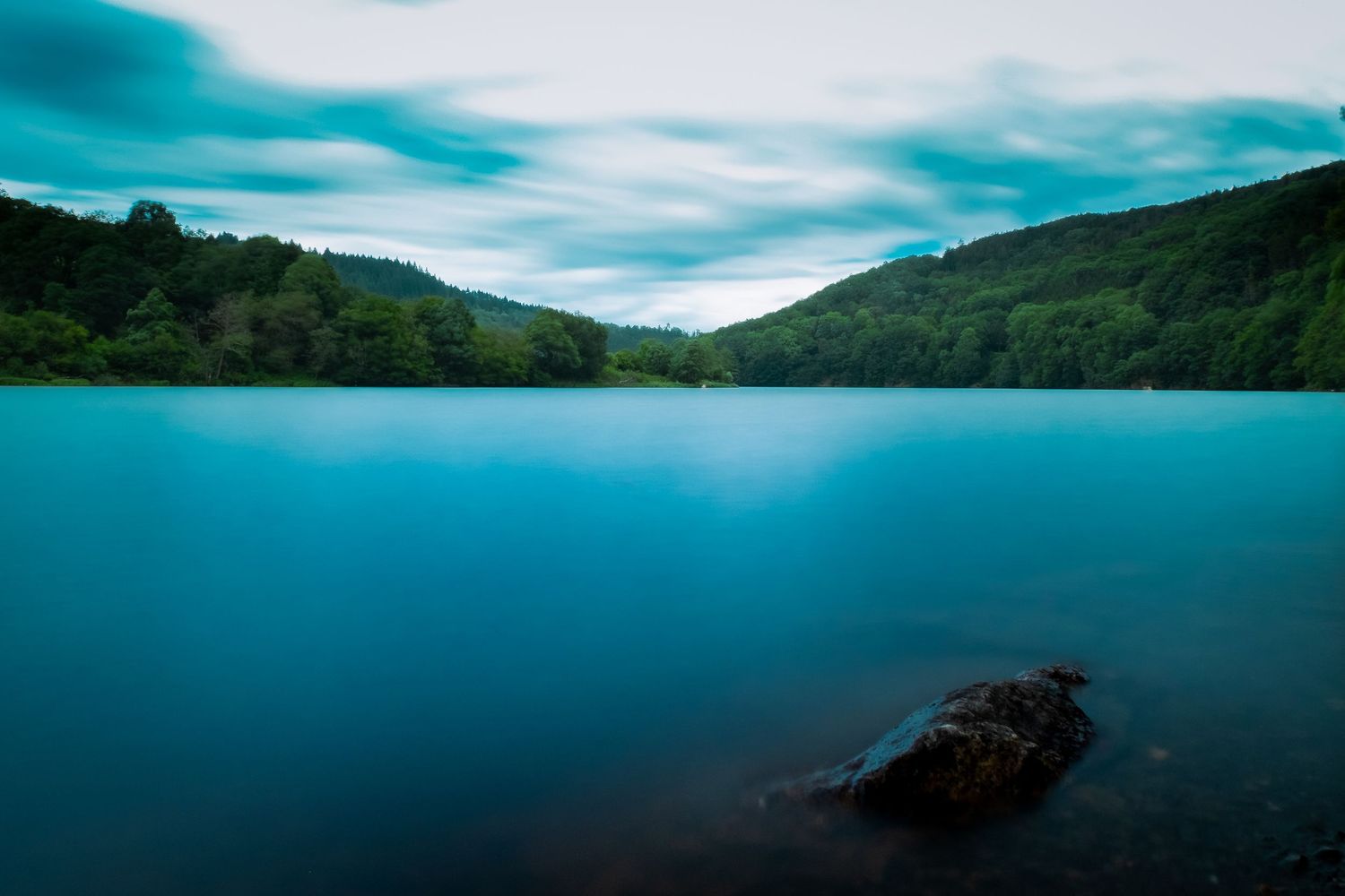 CaniNickels-Photography