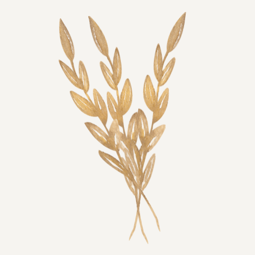 Delicate watercolor illustration of golden wheat stalks arranged in a simple botanical design.
