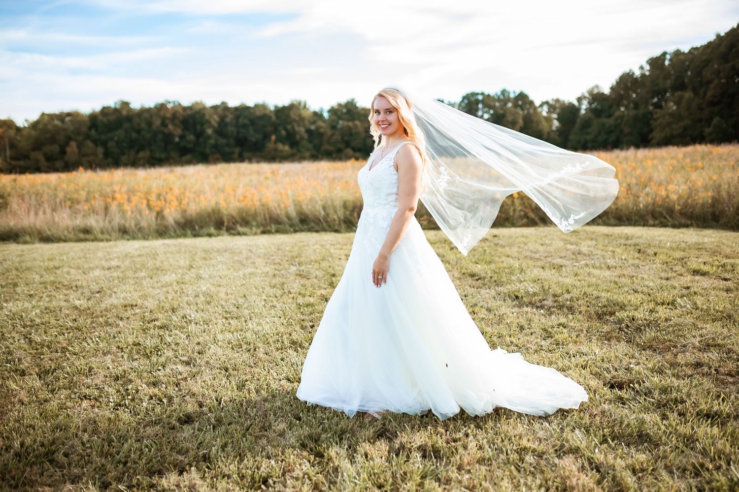 A bride in a flowing white gown and veil stands in a golden field during sunset.