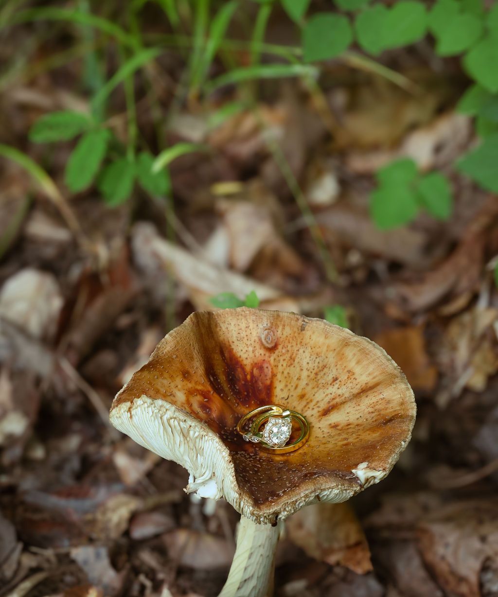 A diamond engagement ring rests inside the rust-brown cap of a wild mushroom on a forest floor covered in fallen leaves.