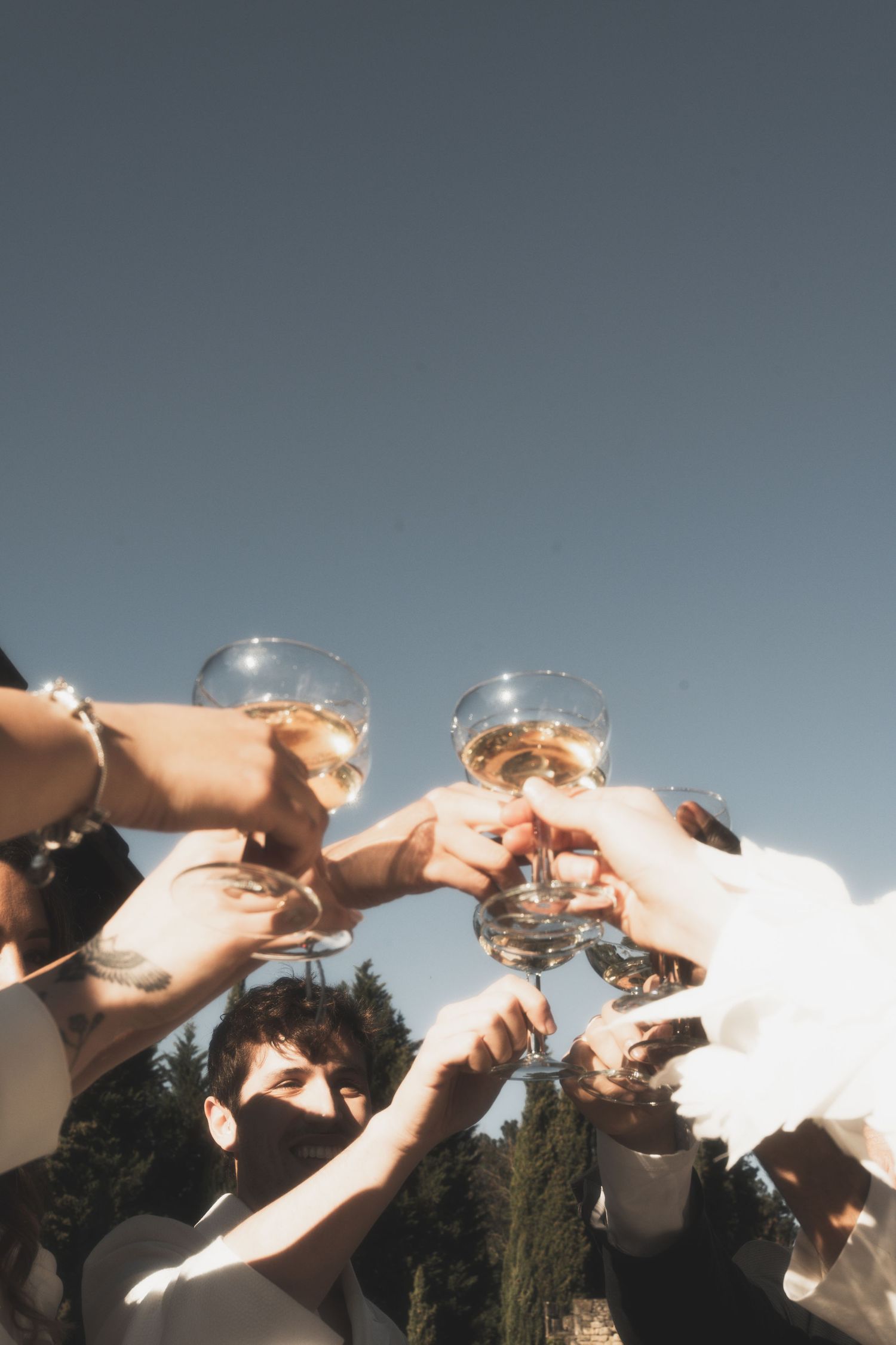 Group toasting with wine glasses against bright sky background.