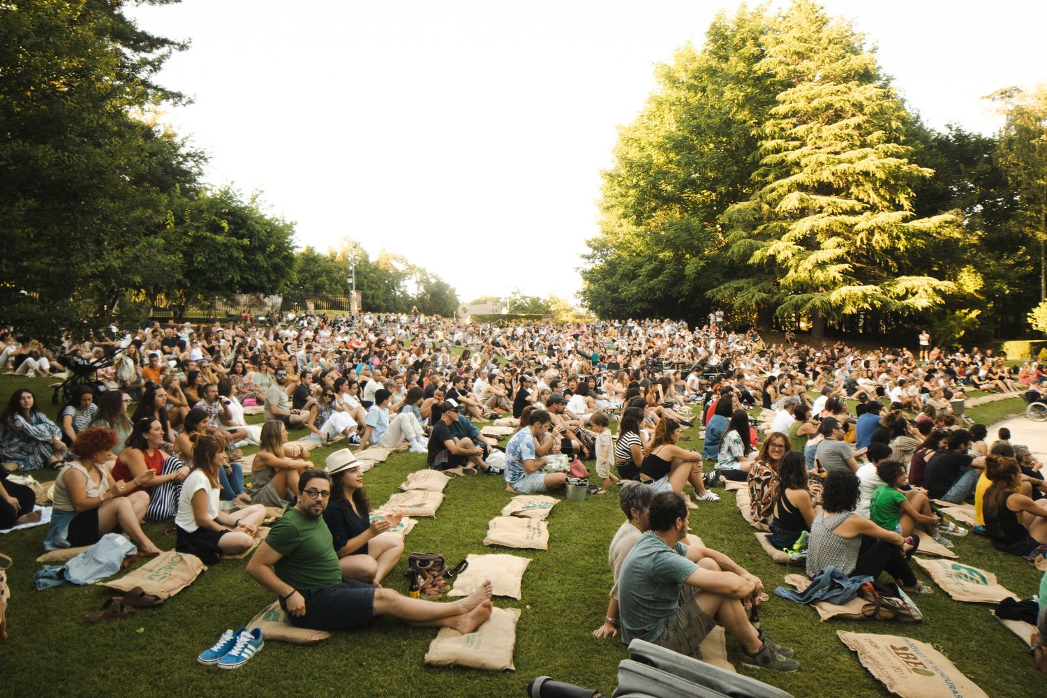 Aerial view of crowd gathering for outdoor yoga session in sunny park.