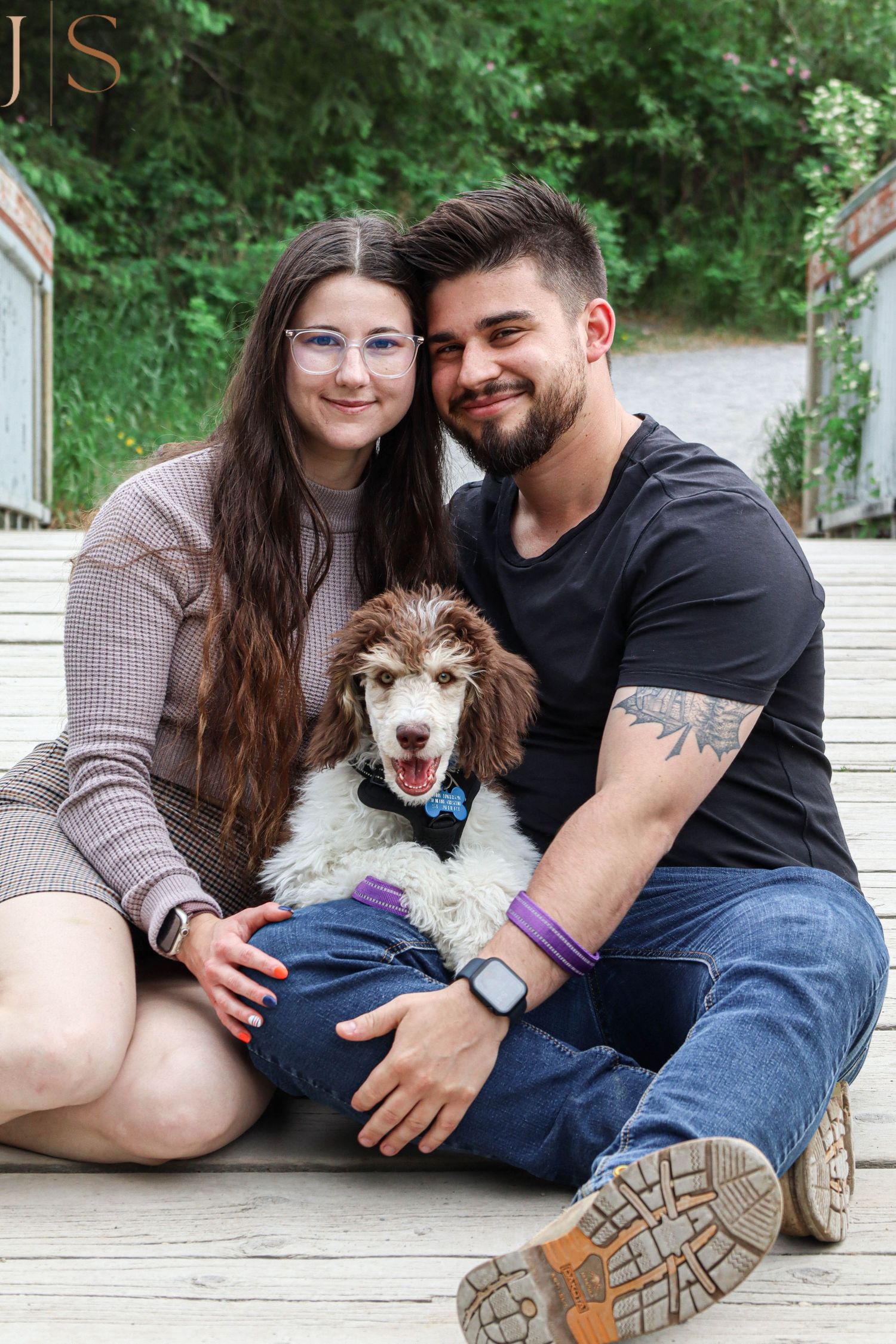 Four progressive photos of a husky mix dog yawning while laying with people on a patio.