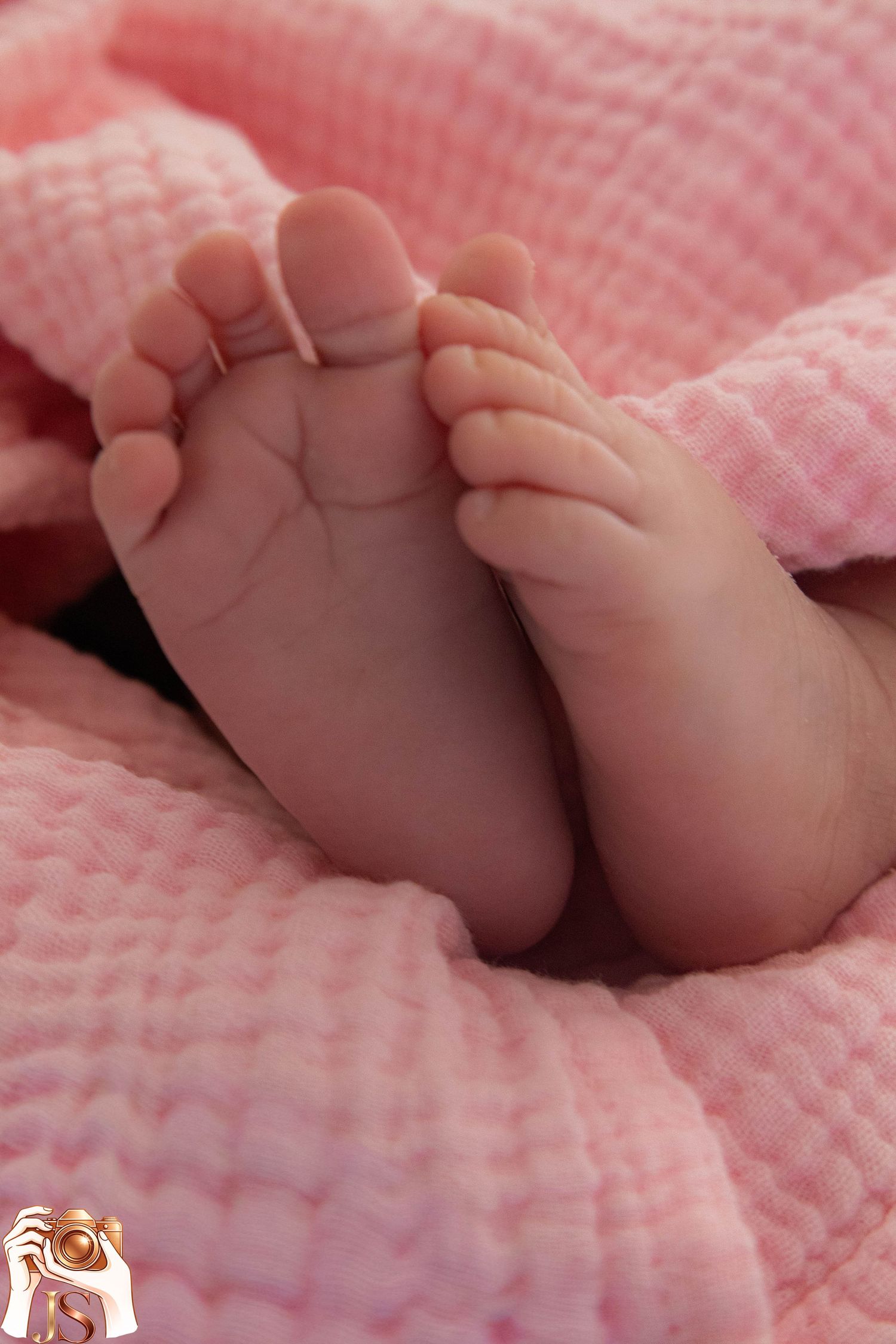 Close-up photos of tiny baby feet resting on soft pink textured fabric showing delicate toes and newborn skin.