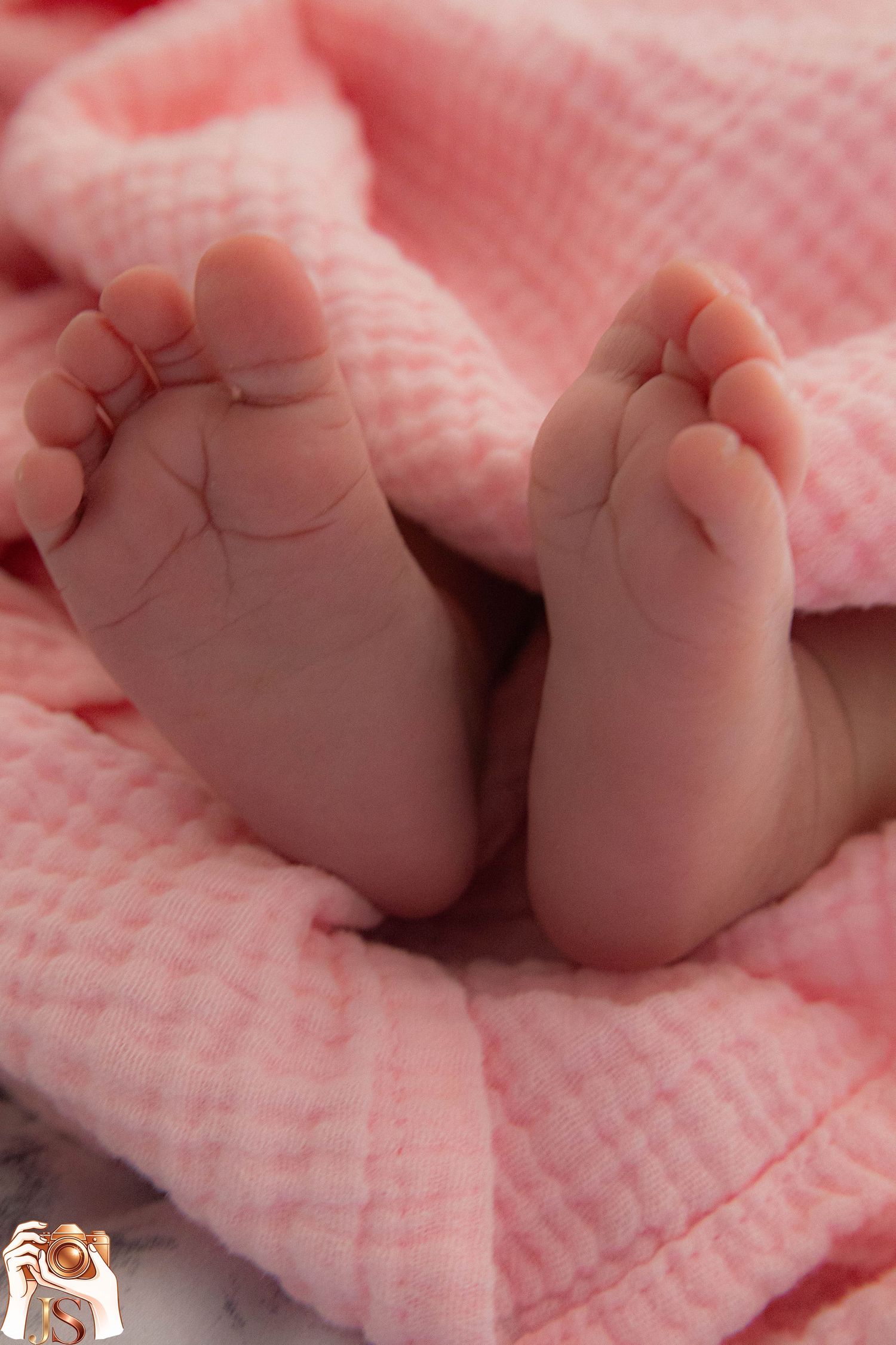 Tiny baby feet resting on soft pink textured blanket showing delicate toes and newborn skin.