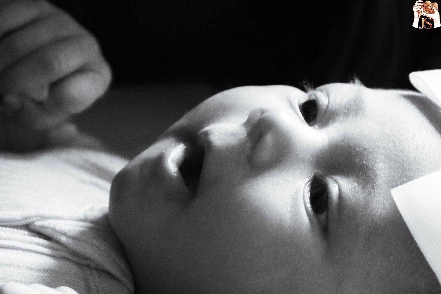 Black and white artistic portrait photo sequence showing different angles and expressions in dramatic lighting.
