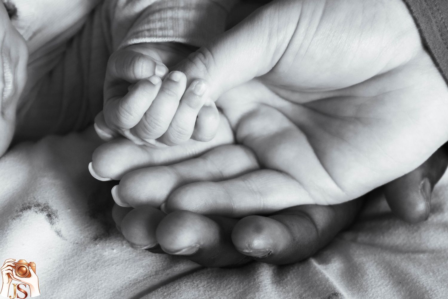 Black and white photo montage showing close-up shots of hands tenderly holding and touching each other.