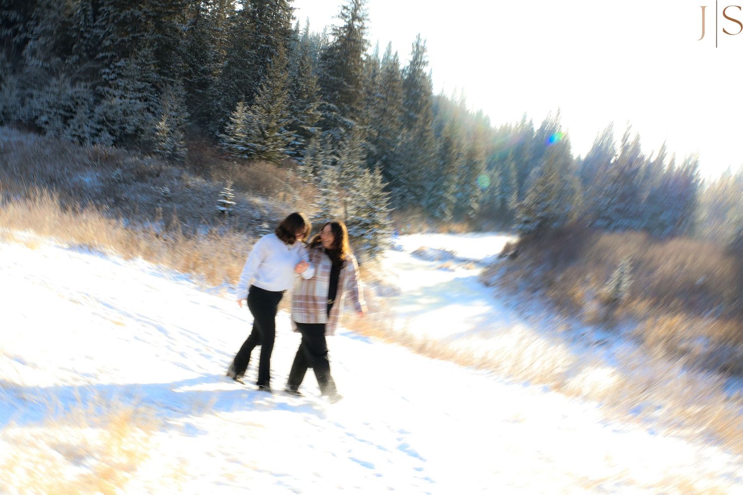 People enjoying winter activities in a snowy forest landscape with evergreen trees in the background.