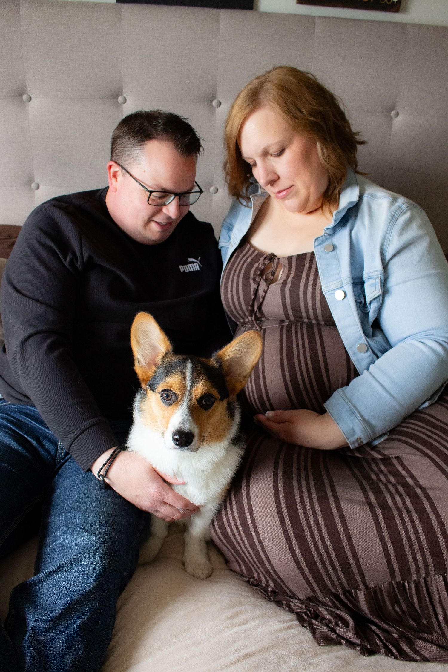 A couple and their corgi relax together on a grey couch during maternity photoshoot.