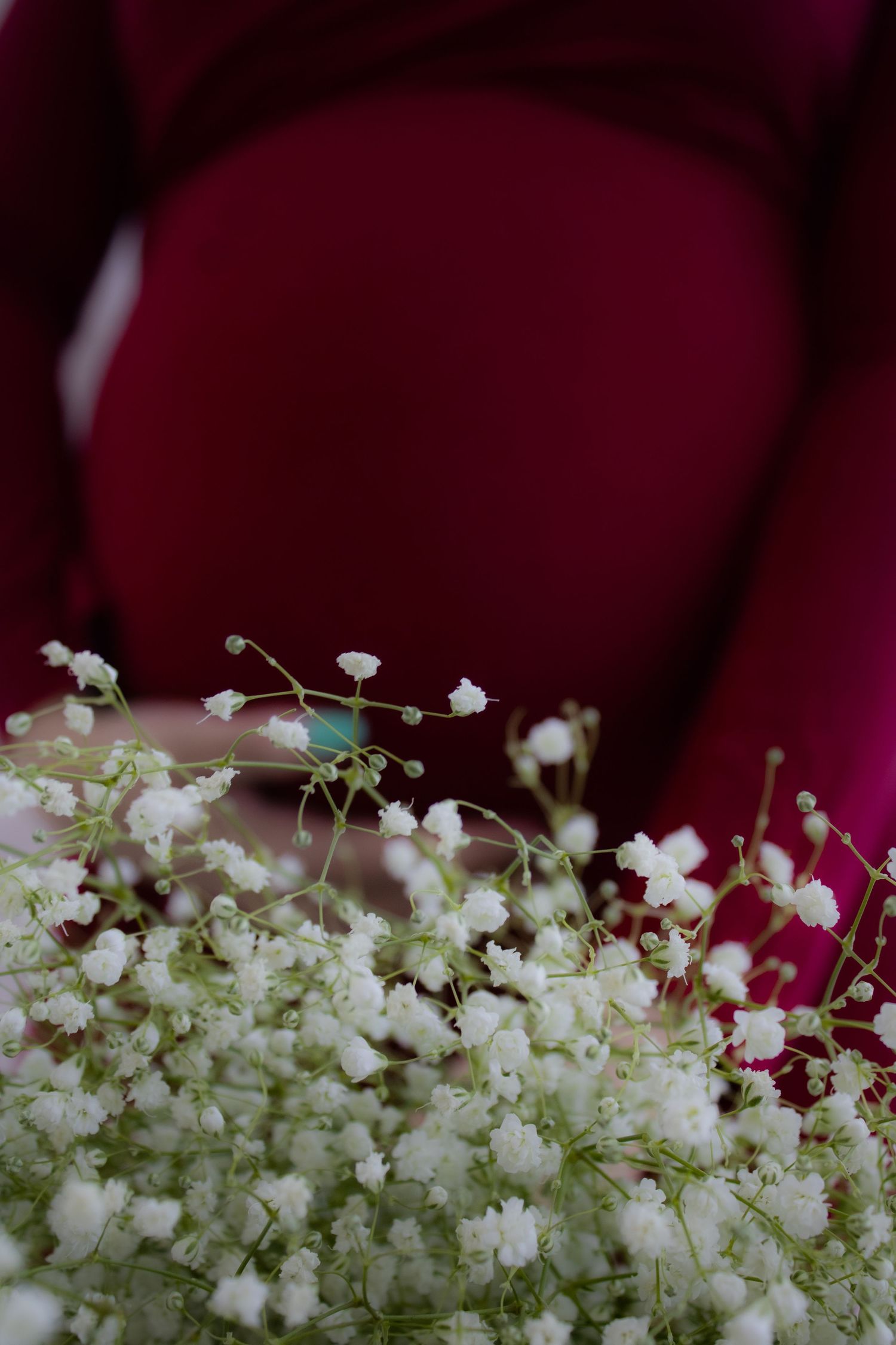 Delicate white baby's breath flowers against a deep burgundy background.