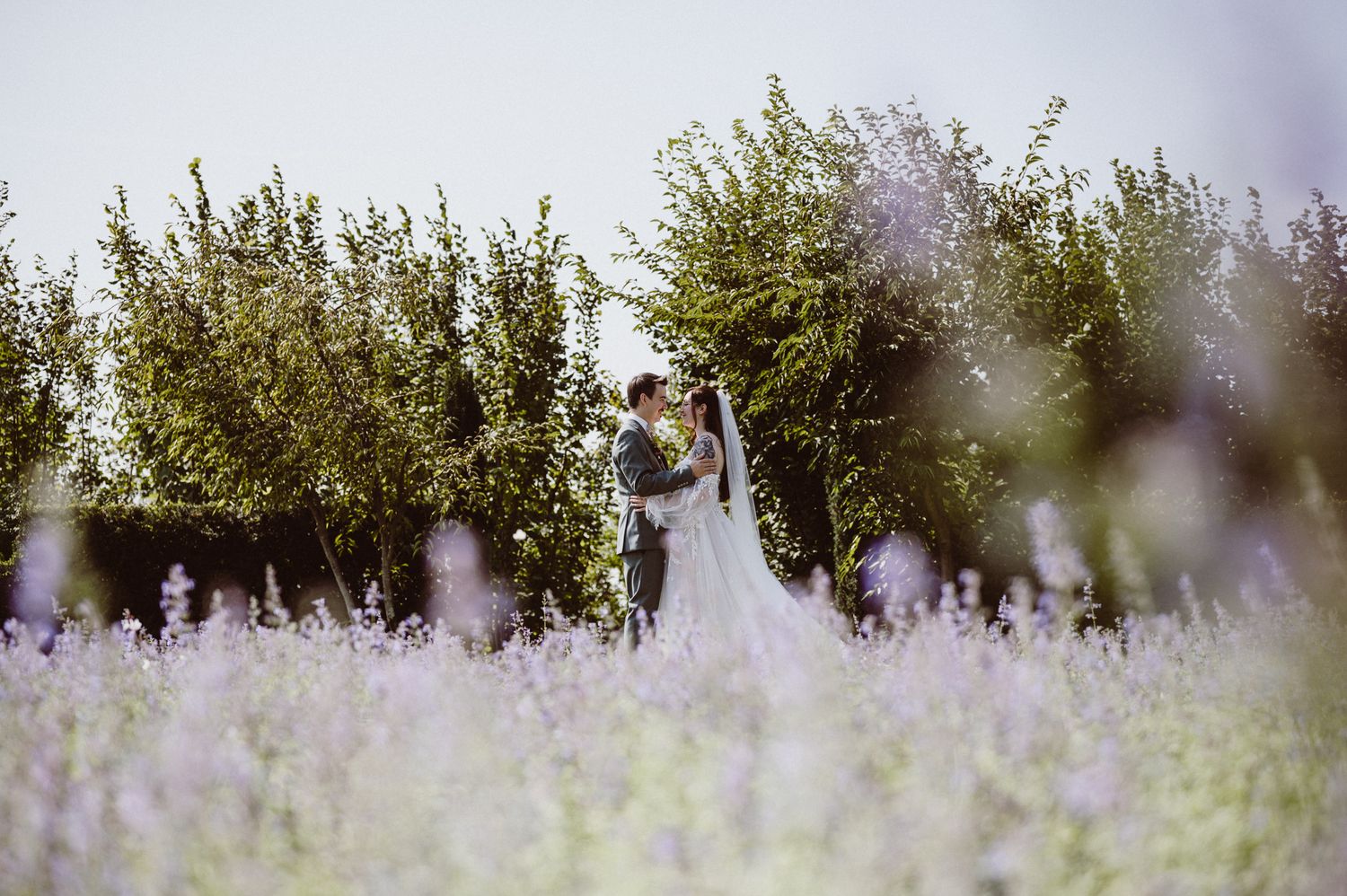 A scenic lavender field stretches into the distance with blurred bokeh effects and green foliage in the background.