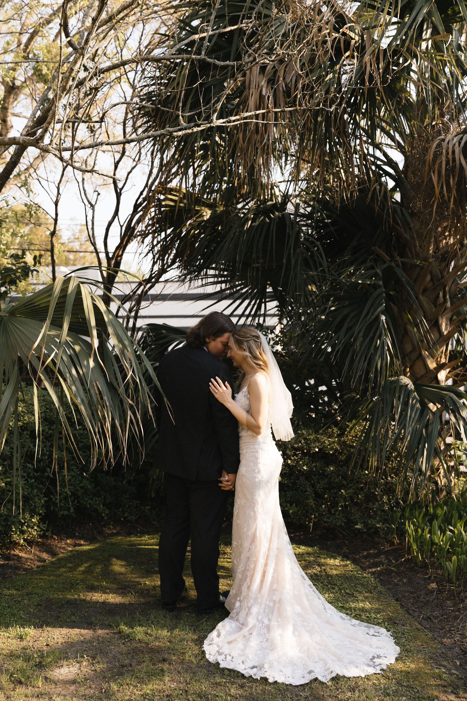 Bride and groom share a romantic kiss beneath lush palm trees in a sunlit outdoor wedding setting.
