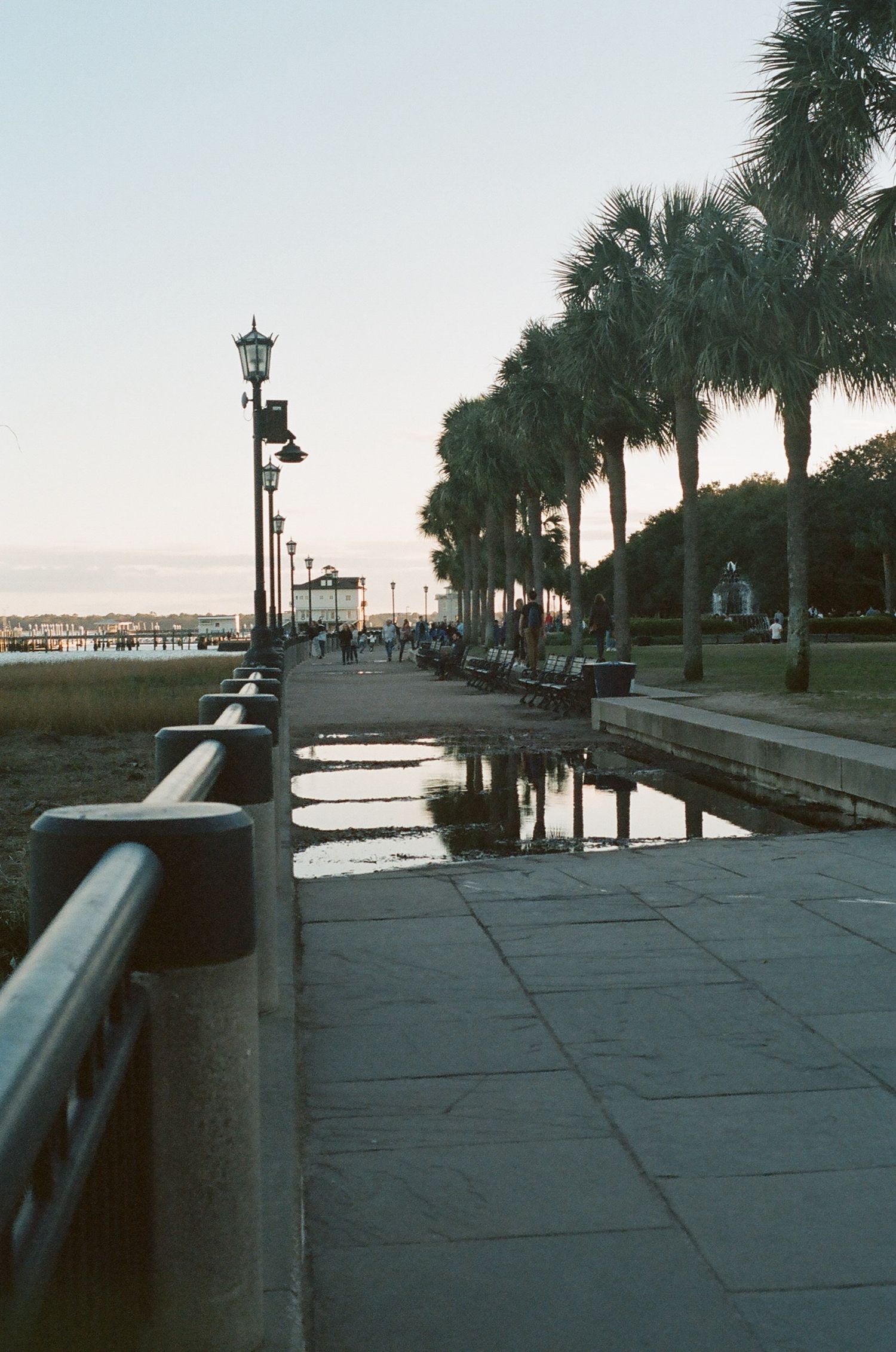 Abaez.Photography