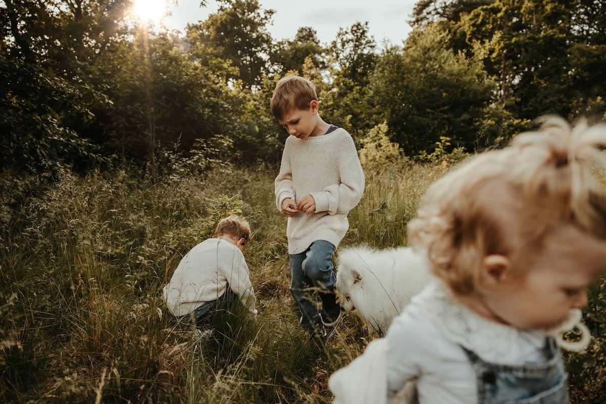 Utforskande barn leker i det höga gräset på en äng i solnedgången under en familjefotografering med Grevholm Photography i Laholm.