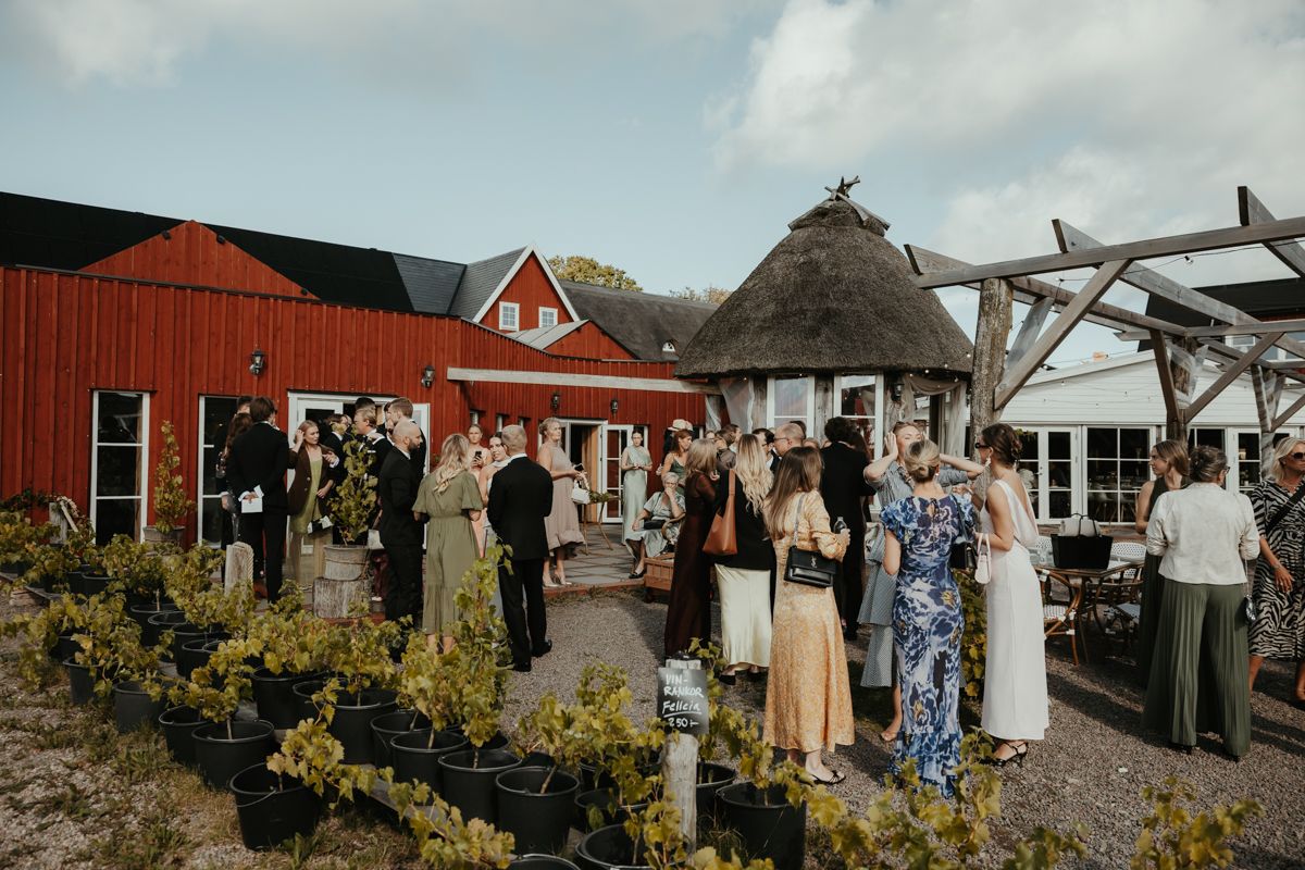 Sensommarbröllop i september på Arilds Vingård fotograferat av Grevholm Photography.