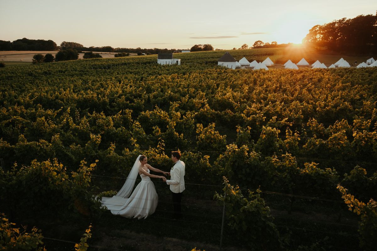 Brudpar går bland vinrankorna på Arilds vingård i solnedgången. Foto av Grevholm Photography.
