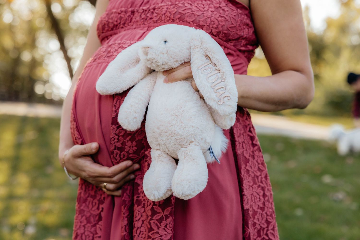 Pink lace dress and white teddy bear shown in a series of maternity photos outdoors.