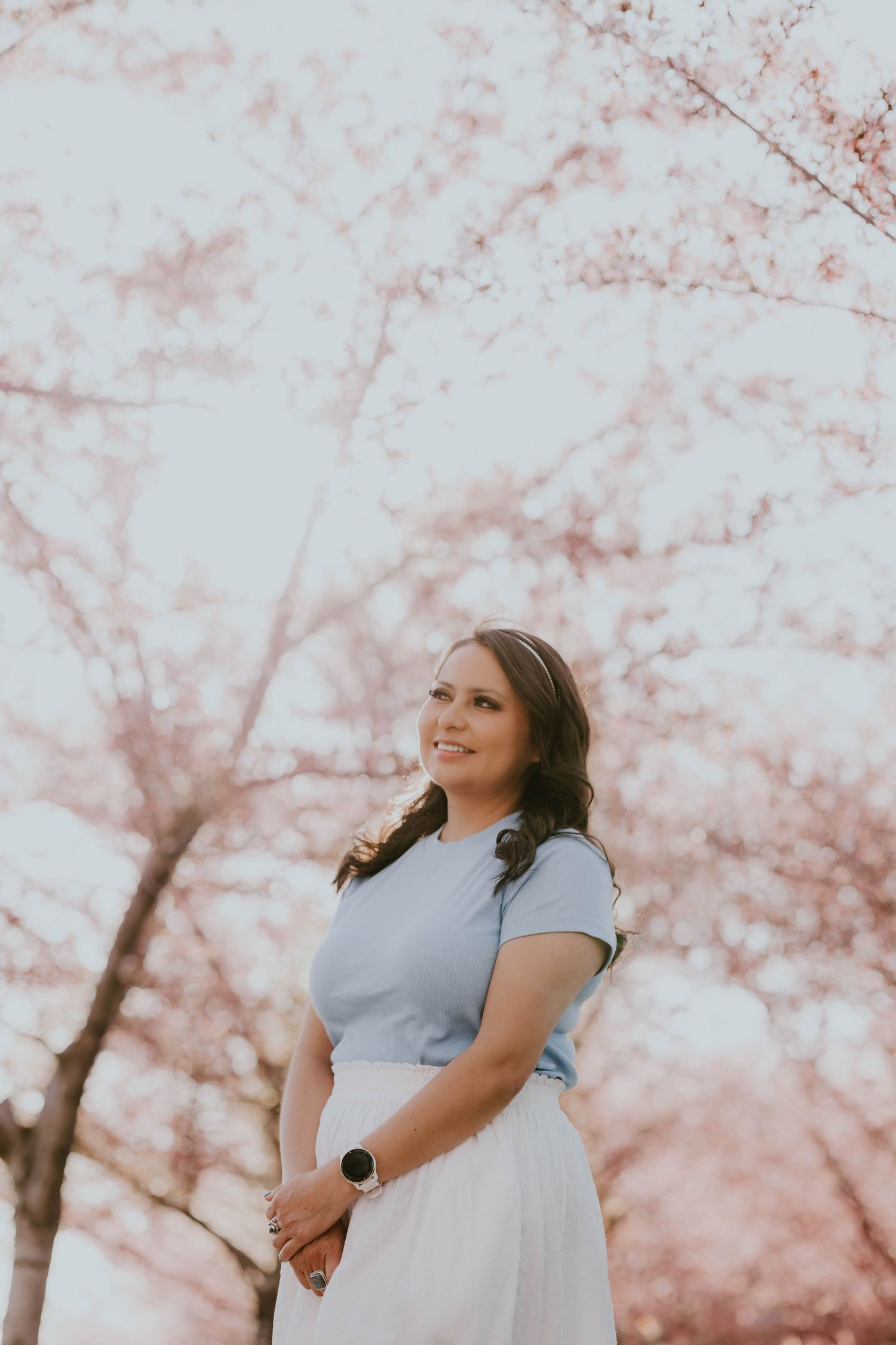 Maternity photoshoot under blooming cherry blossom trees with soft pink petals.