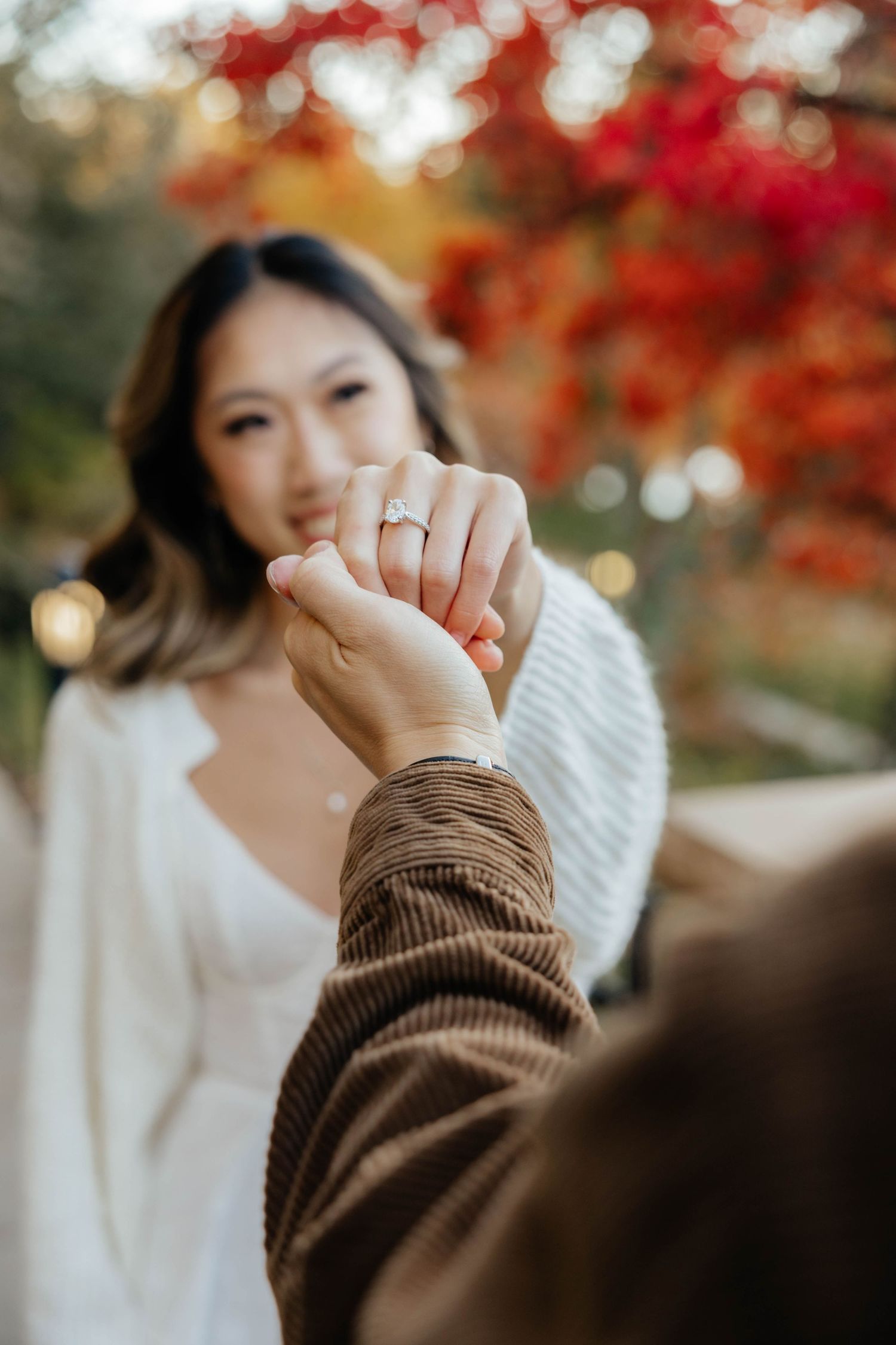 Hands wearing a brown knit sweater against a backdrop of autumn foliage and bokeh lights.