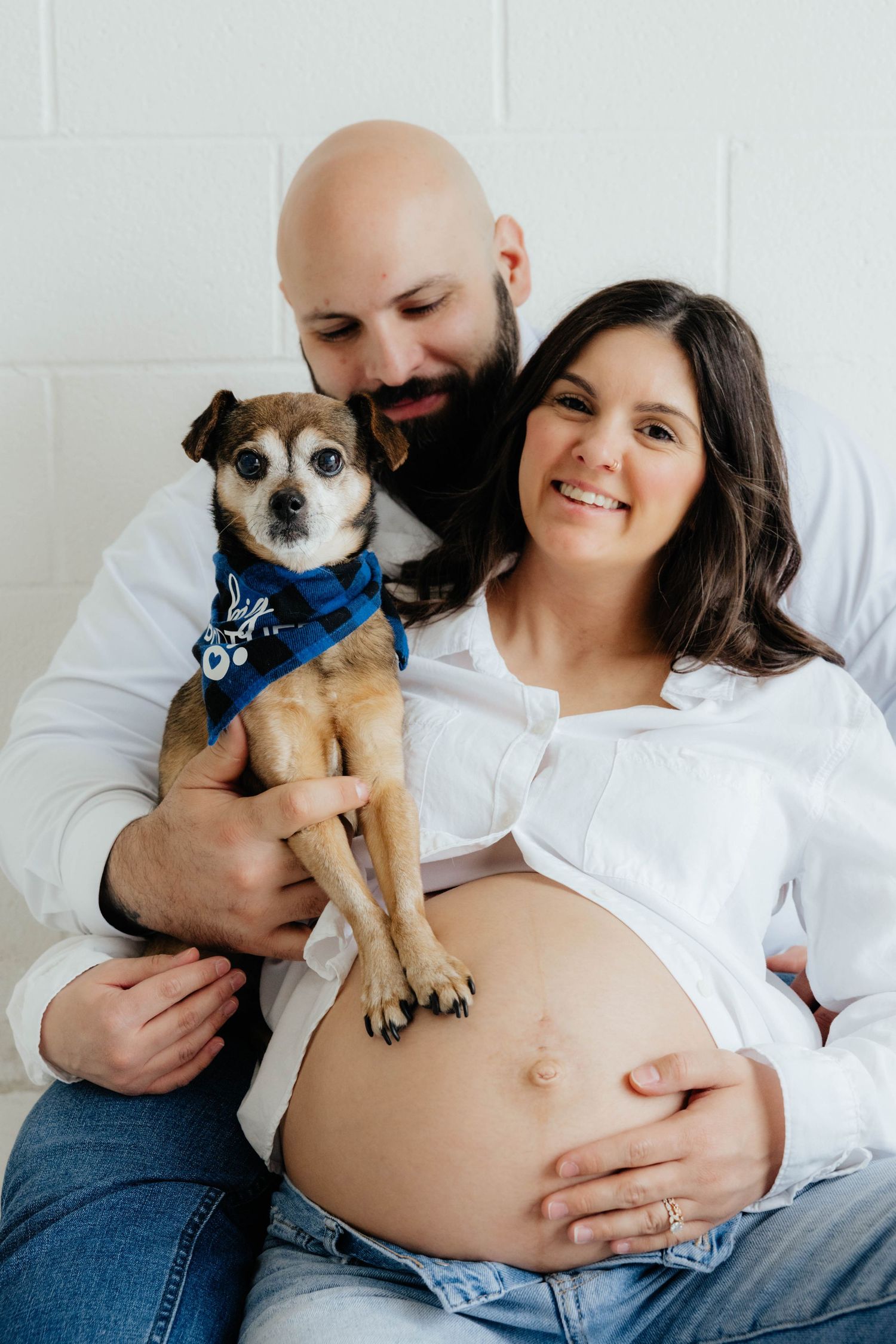 A maternity photoshoot featuring a couple with their small dog wearing a blue bandana.