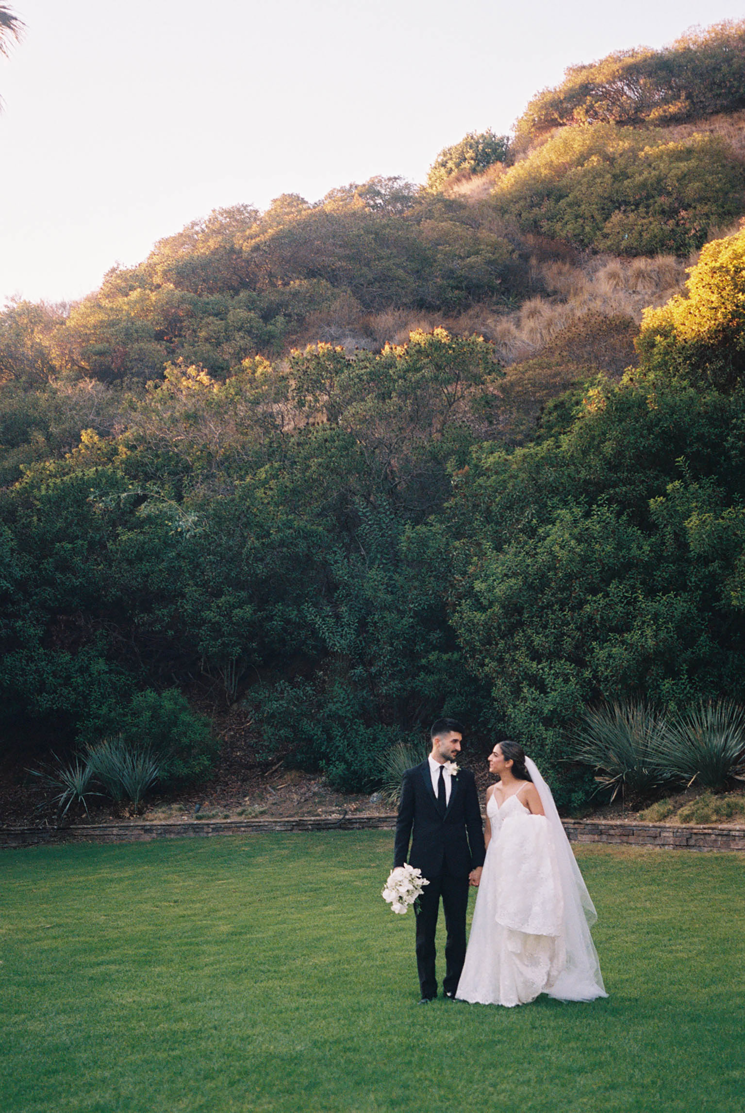 Bride and groom holding hands on lush green lawn with golden sunlit hillside and trees in background.