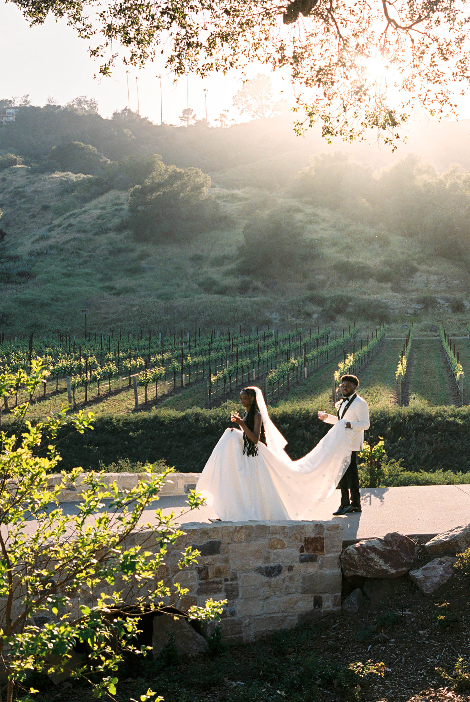 Bride and groom share a romantic moment at sunset overlooking lush vineyard rows at an outdoor winery wedding.
