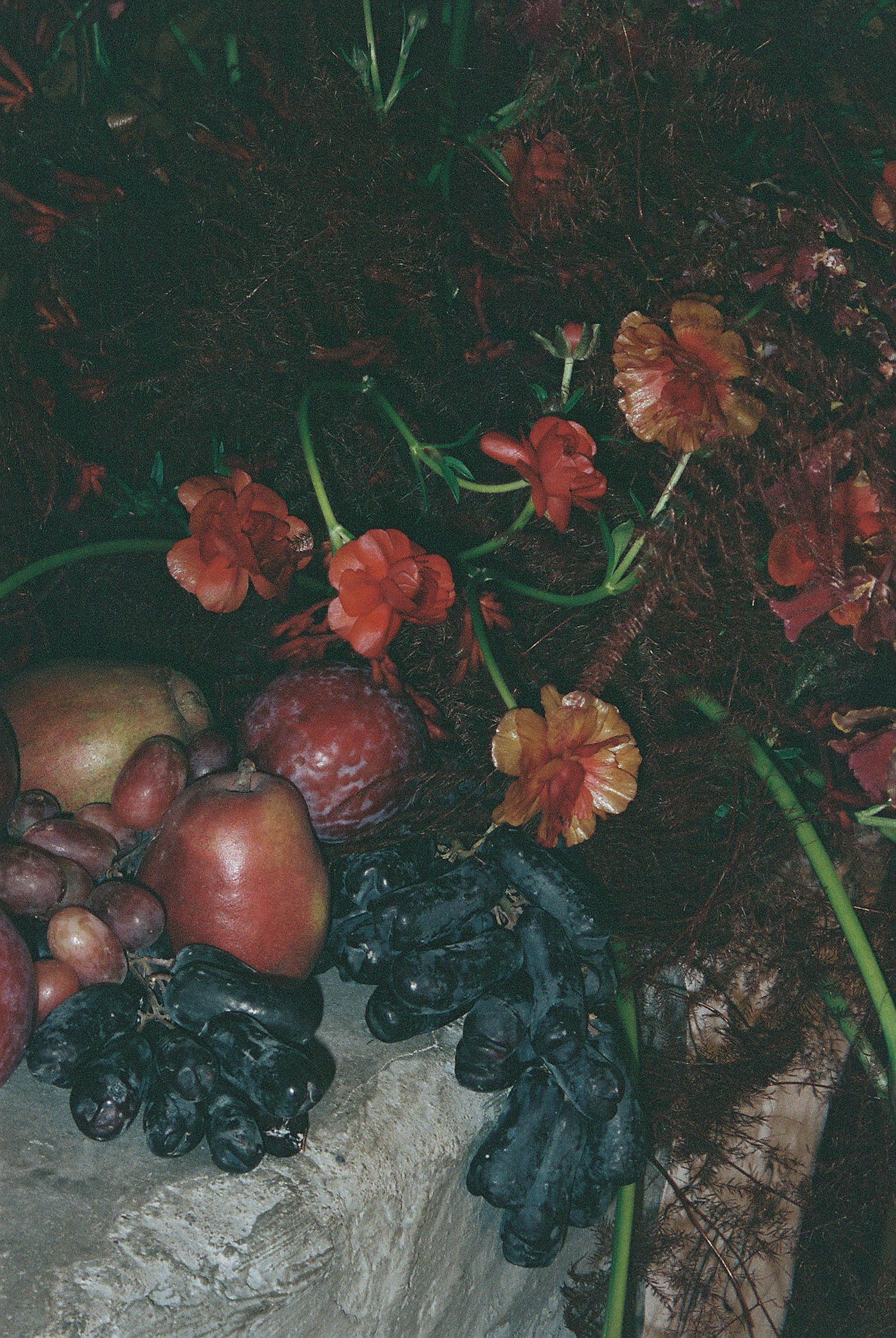 Dark moody still life with red flowers, pomegranates, apples, and black grapes arranged on stone surface.