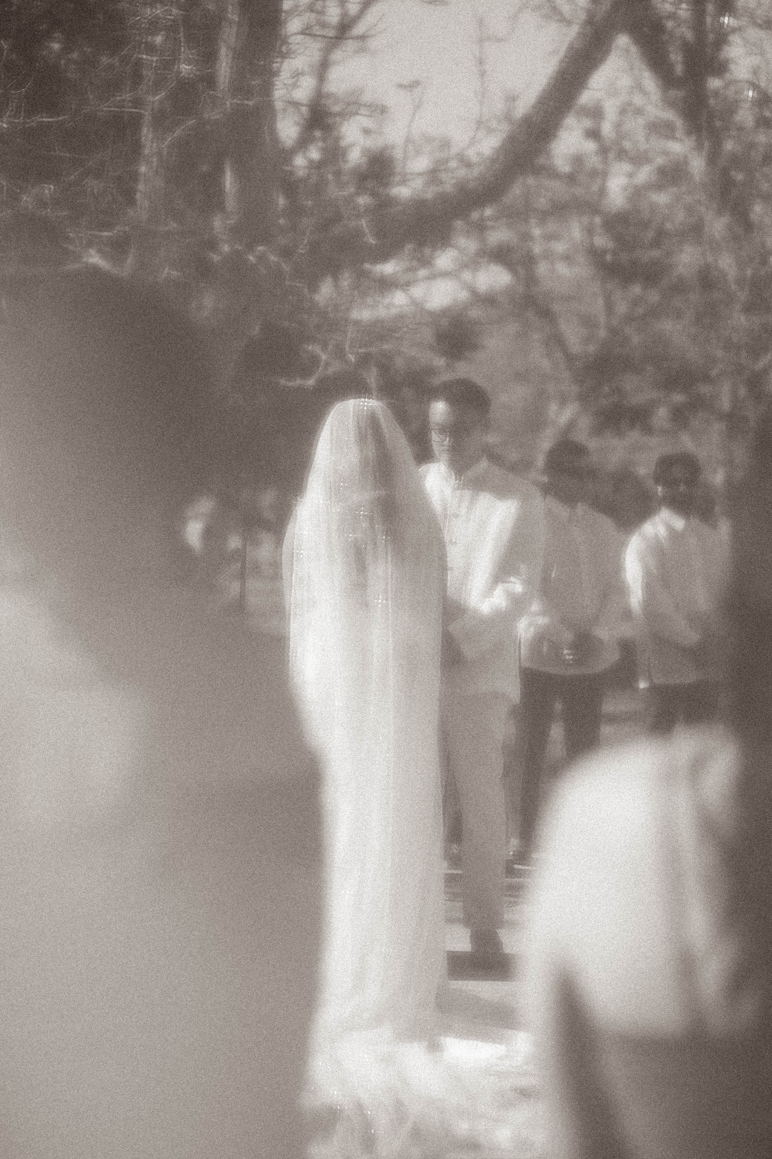 Black and white outdoor wedding ceremony with bride in veil and groom standing beneath trees.