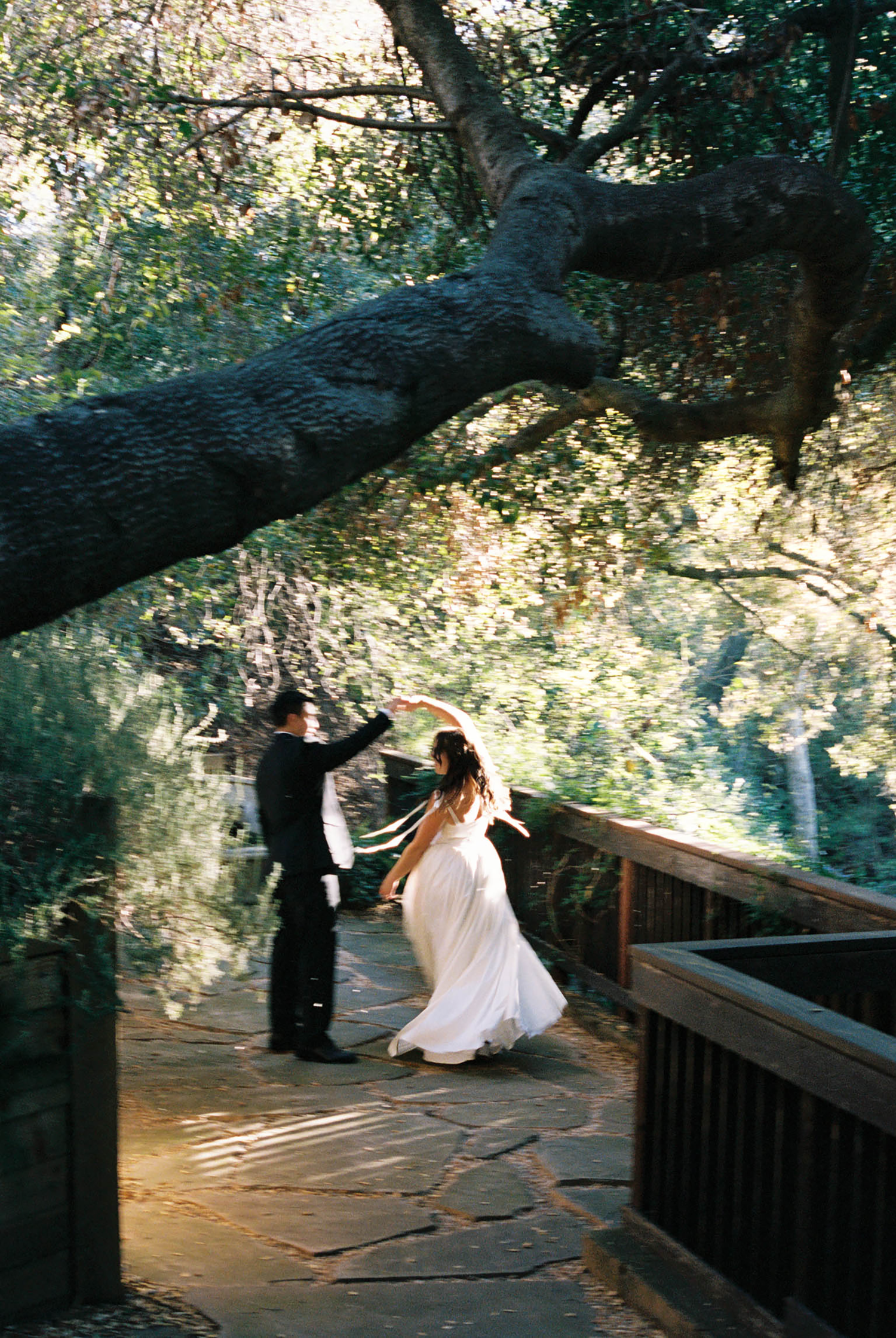 Bride and groom dancing on a stone path beneath a large oak tree in a lush garden setting.