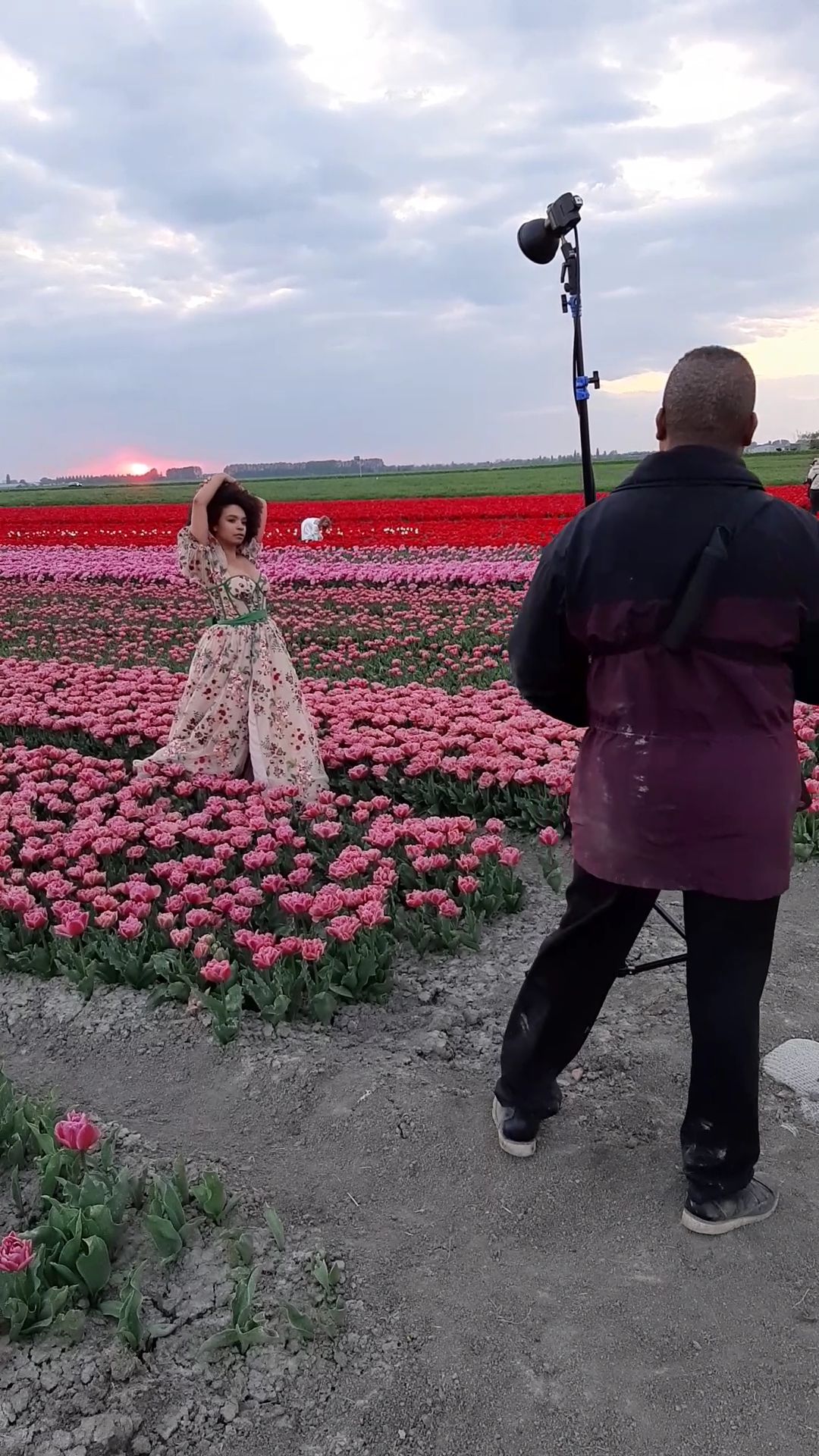 Photography session in vast tulip field with pink and red flowers during sunset.