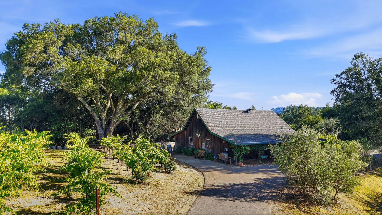 Rustic barn surrounded by lush oak trees and green shrubs under a clear blue sky on a sunny day.