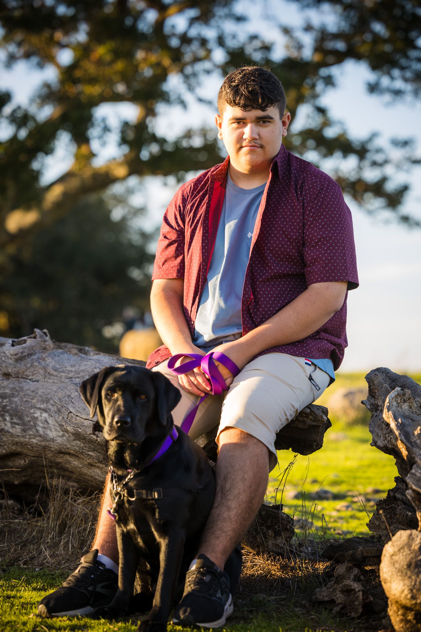 Senior Photos - Person in casual wear sits with black dog on fallen log during golden hour.