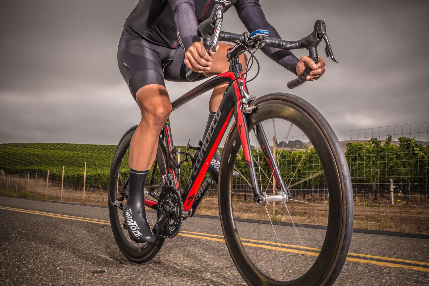 Close-up of cyclist on red racing bike riding past vineyard.