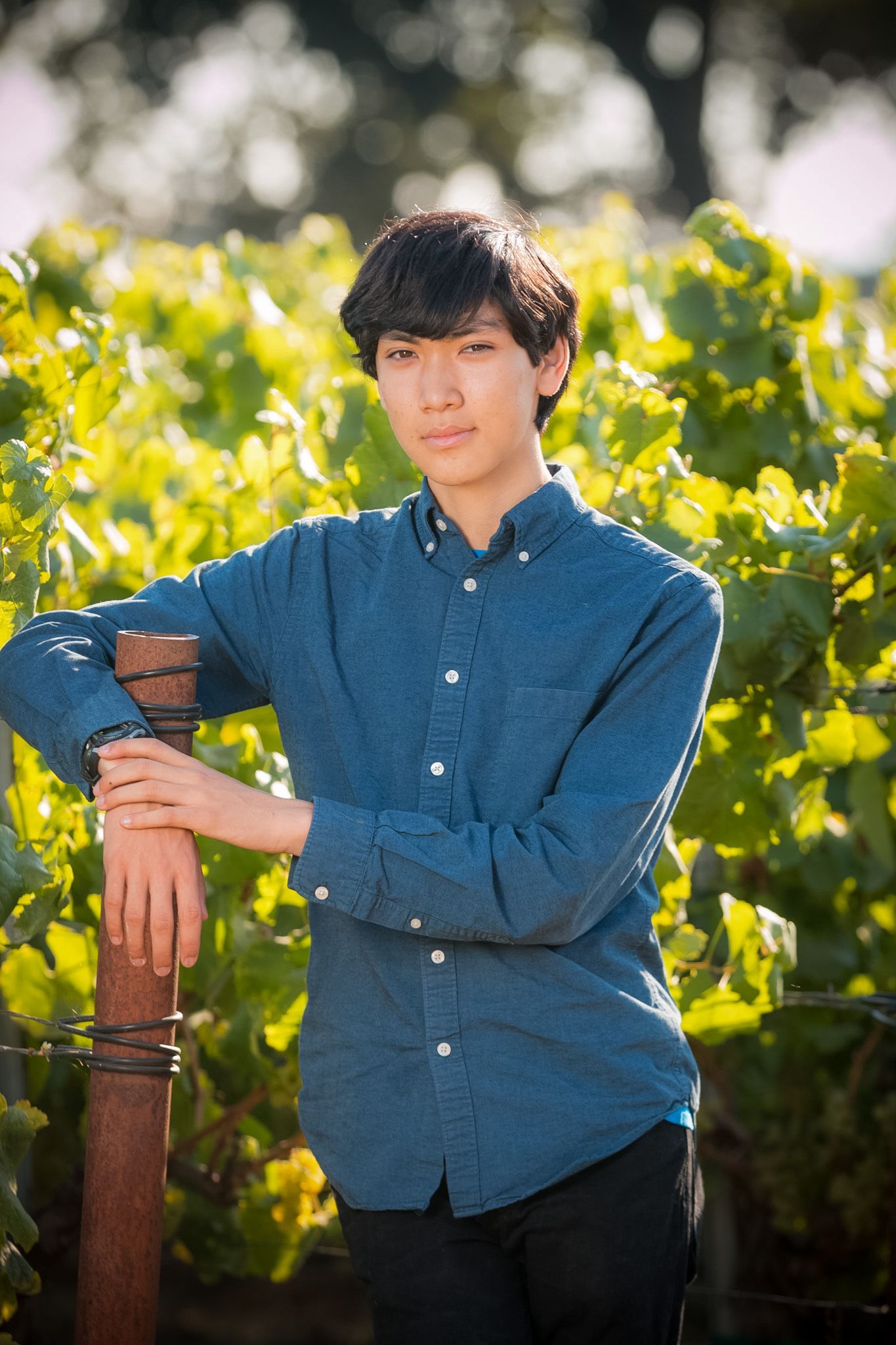 Young man in blue shirt leaning on rustic post in lush vineyard, portrait photography.