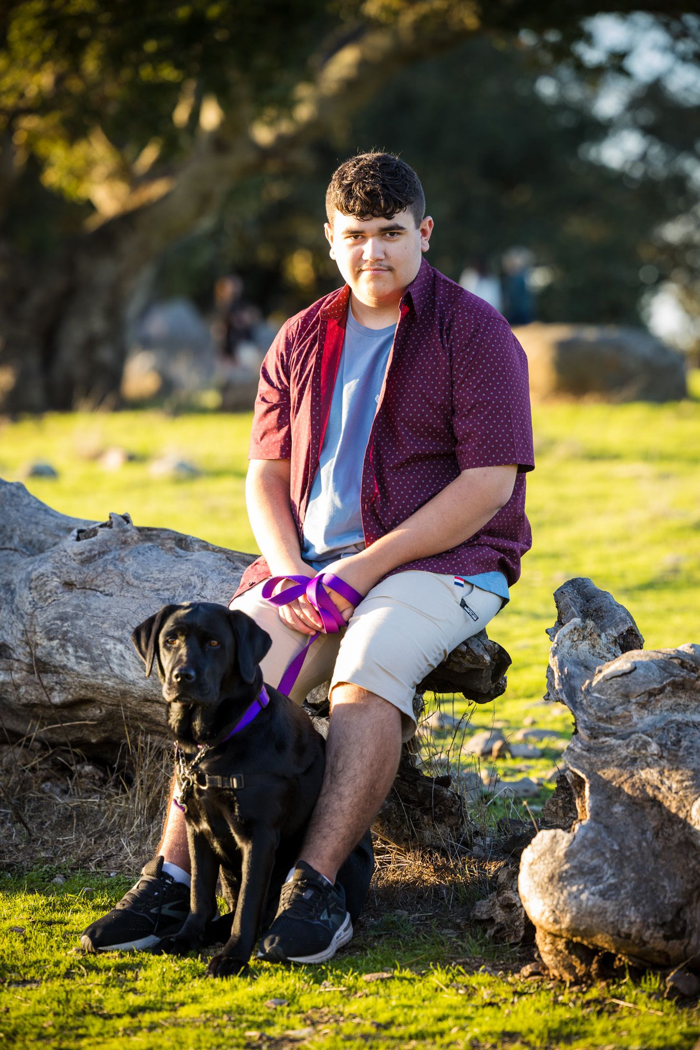 Senior Photos - Young individual sits on rock with black dog wearing purple leash in sunlit park setting.