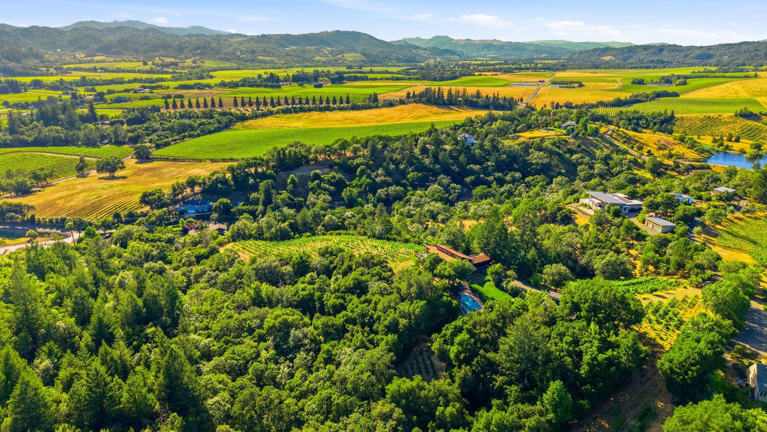 Aerial view of lush green vineyard estate surrounded by rolling hills and farmland in Napa Valley, California.