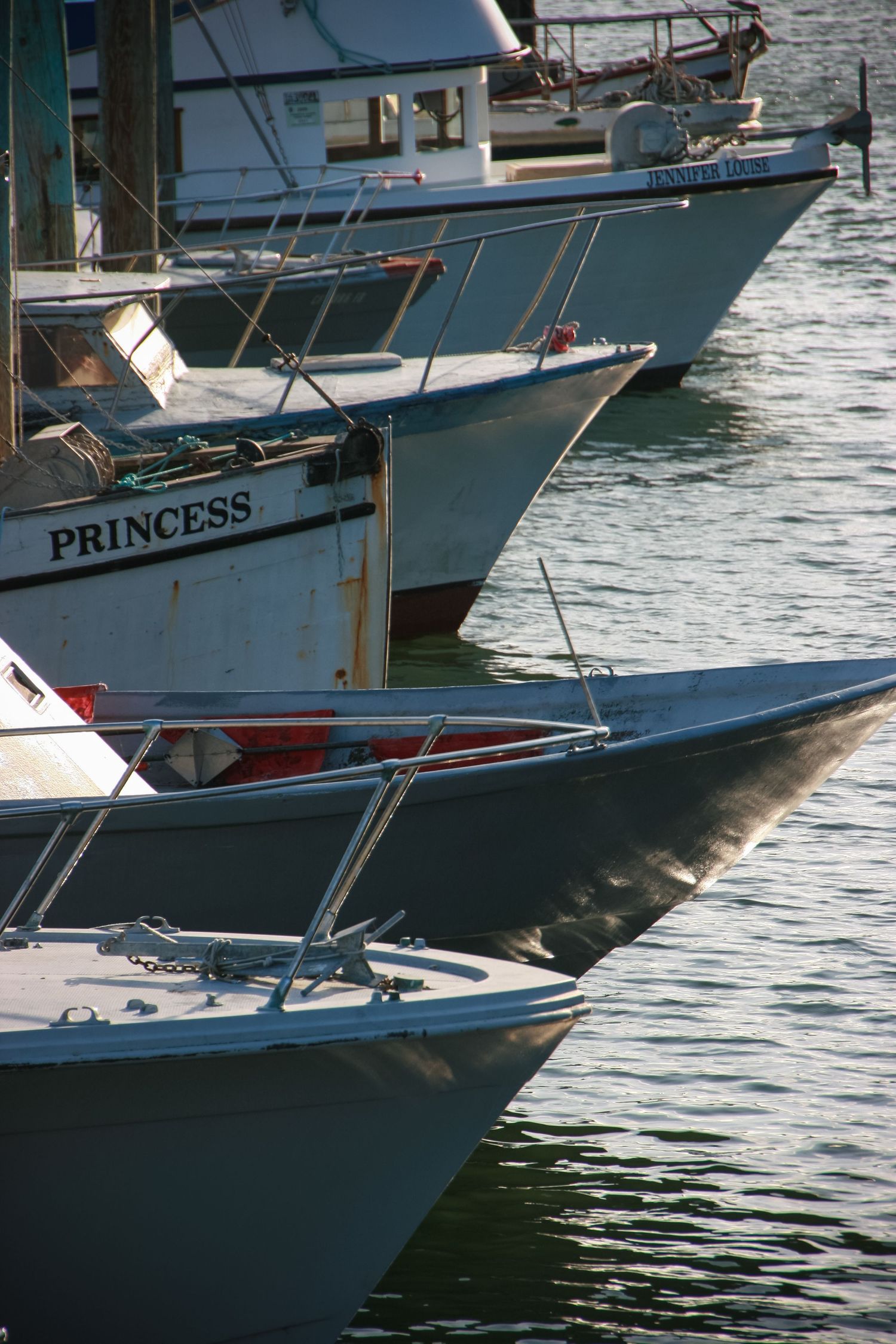 Row of fishing boats with Princess boat in foreground docked at marina.