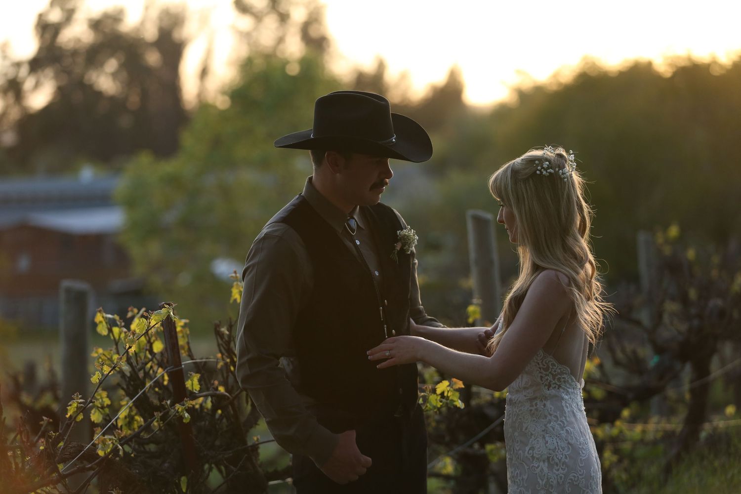 Golden sunset illuminates a romantic vineyard scene with silhouetted couple sharing a tender moment.