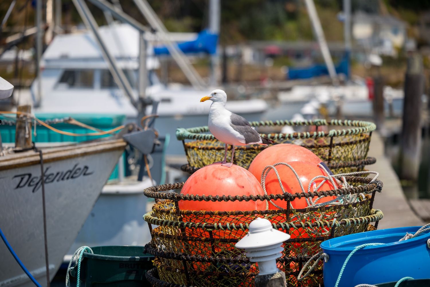 Orange buoys and woven baskets are arranged on a dock near fishing boats and marine equipment.