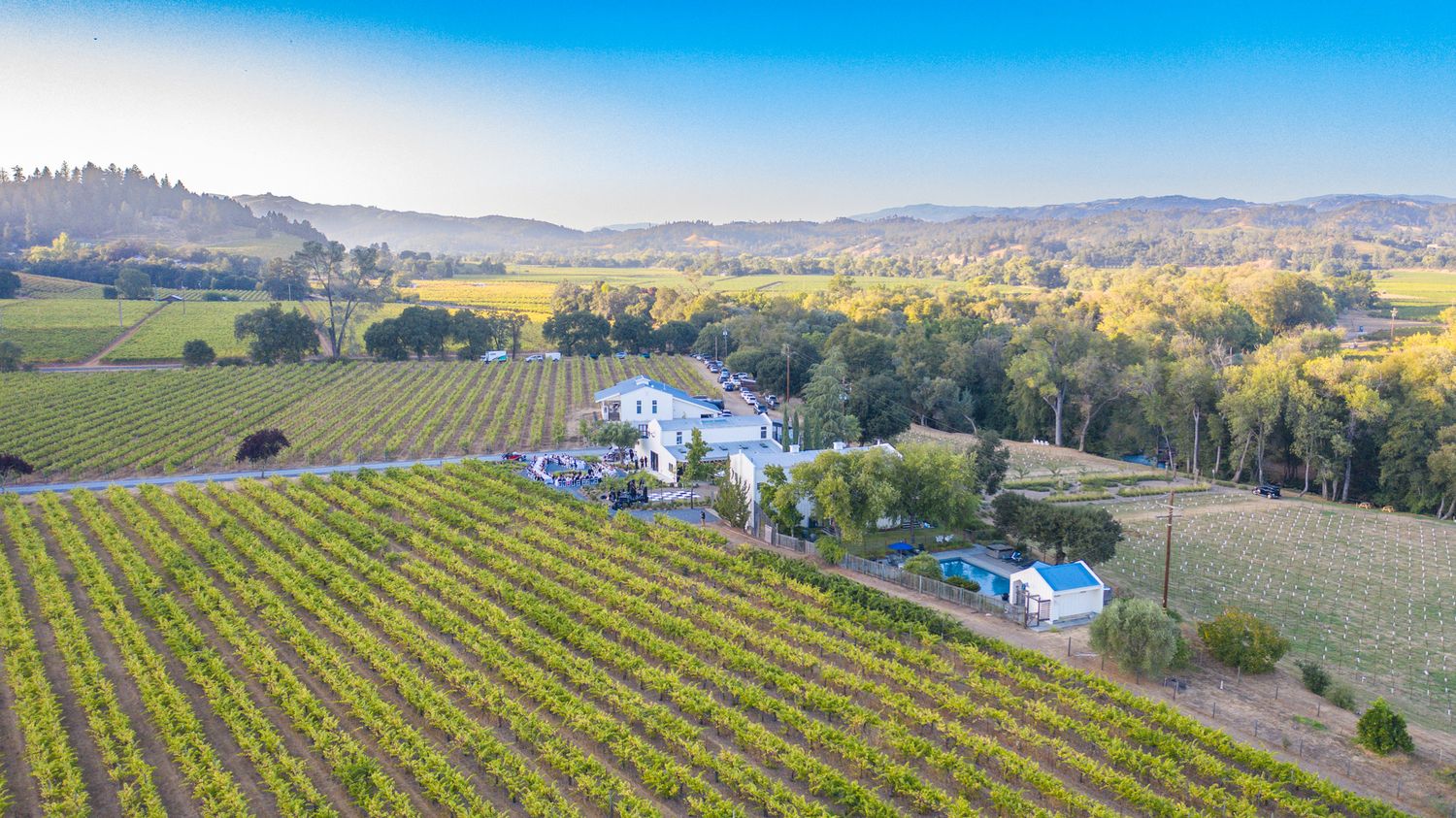 Panoramic aerial view of rolling vineyard hills stretching across a scenic wine country landscape under blue skies.