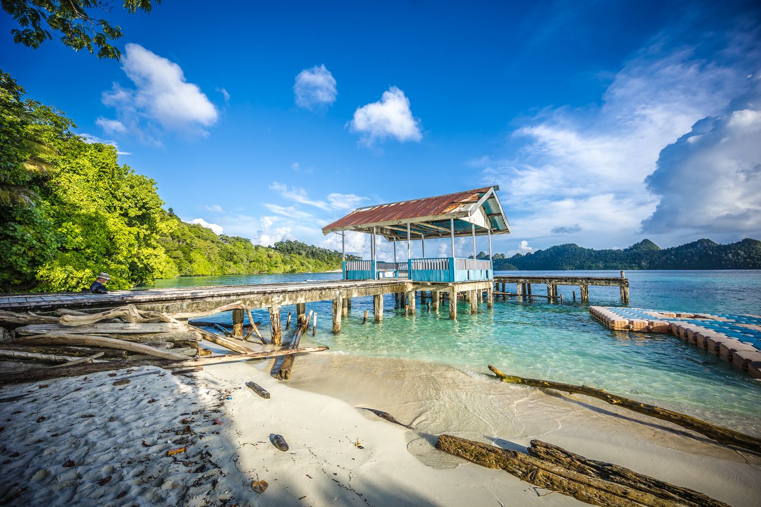 Rustic overwater pier and shelter on a pristine tropical beach with crystal clear waters.