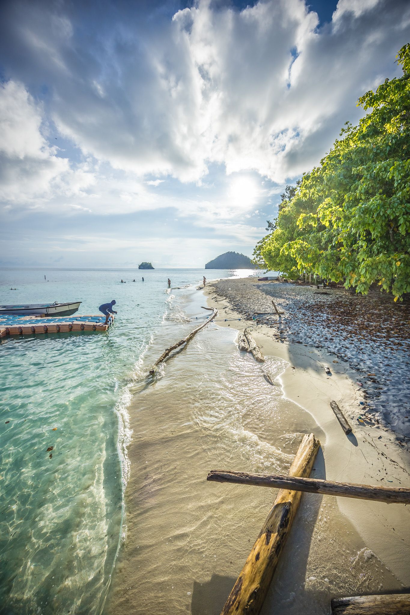 Dramatic coastal landscape with driftwood on beach and stormy clouds over tropical waters.