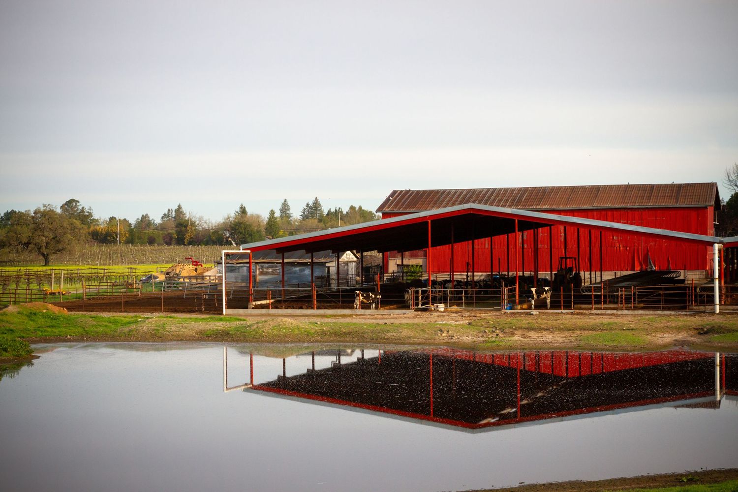 Long red barn structures with metal roofing in rural setting.