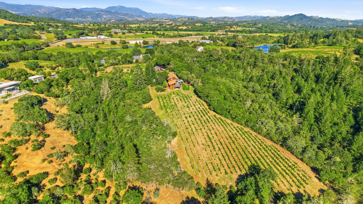 Aerial view of a hillside vineyard with rows of grapevines and a farmhouse nestled among trees in wine country.