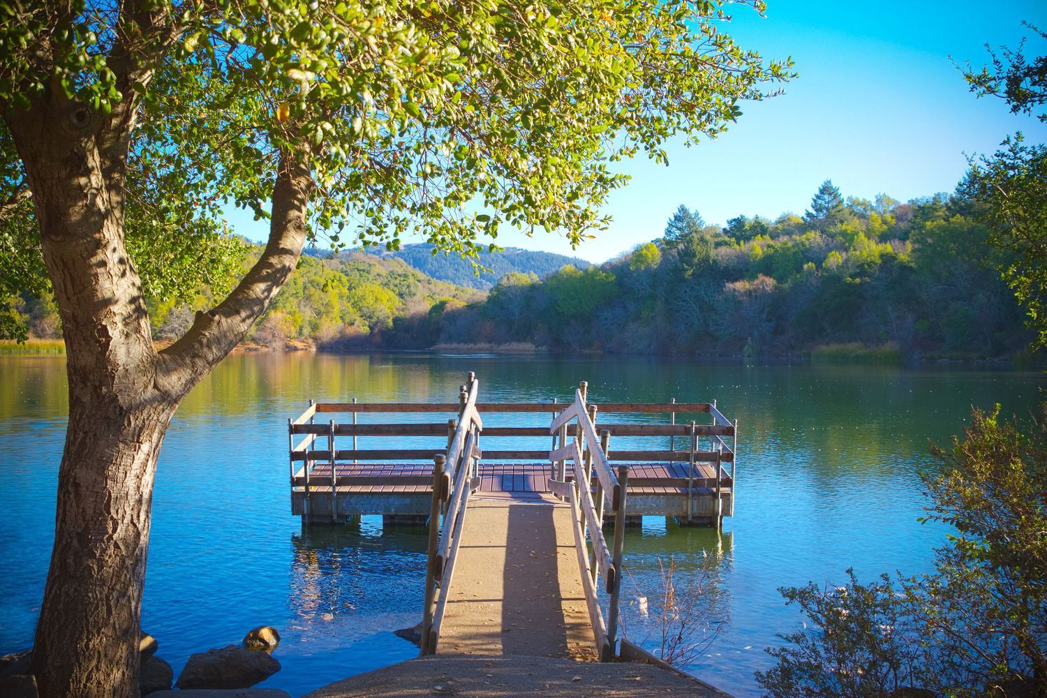 Wooden dock extends over tranquil lake waters surrounded by autumn trees.