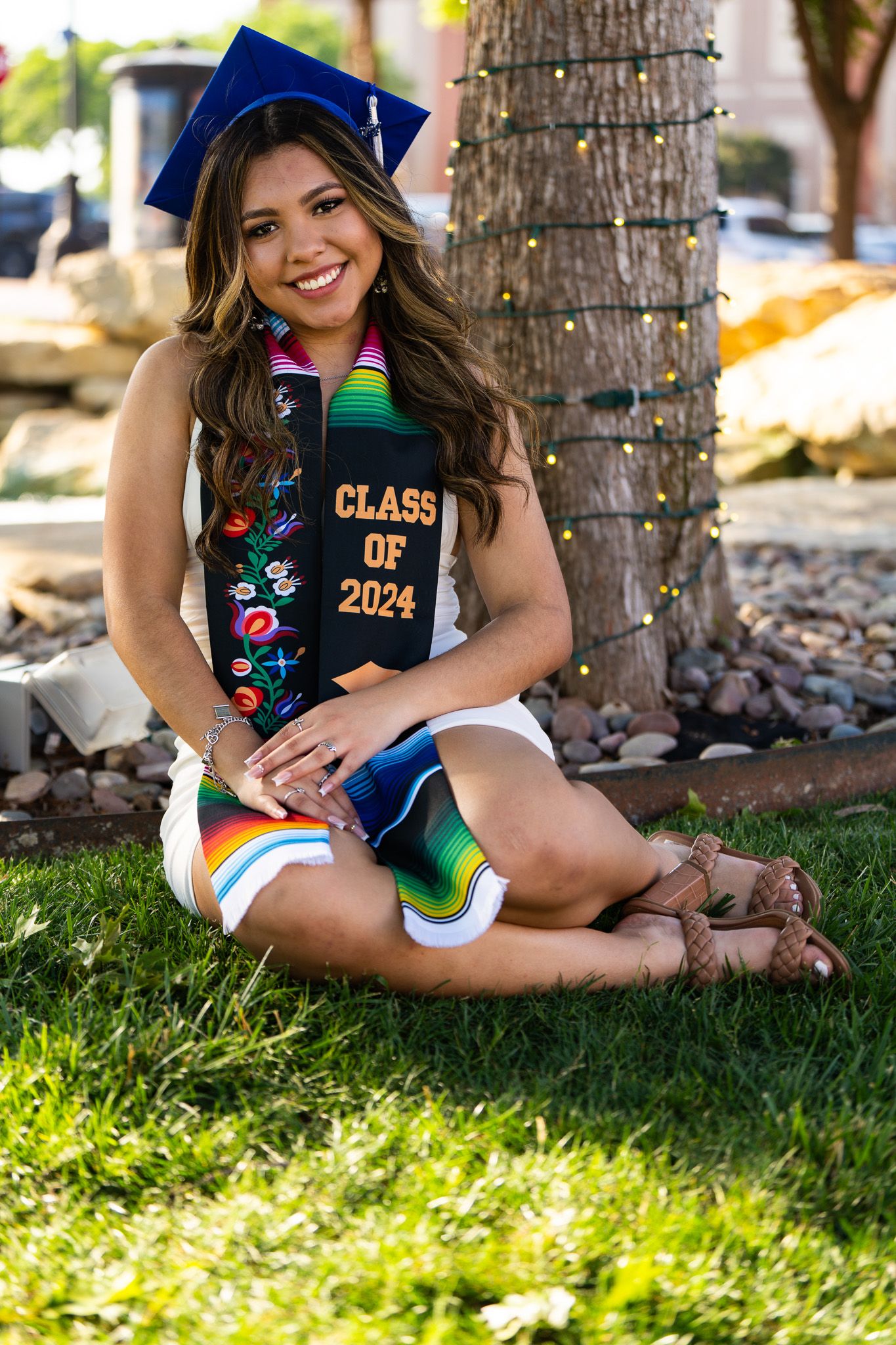 Graduate in blue cap and decorated sash poses on grass near palm tree.