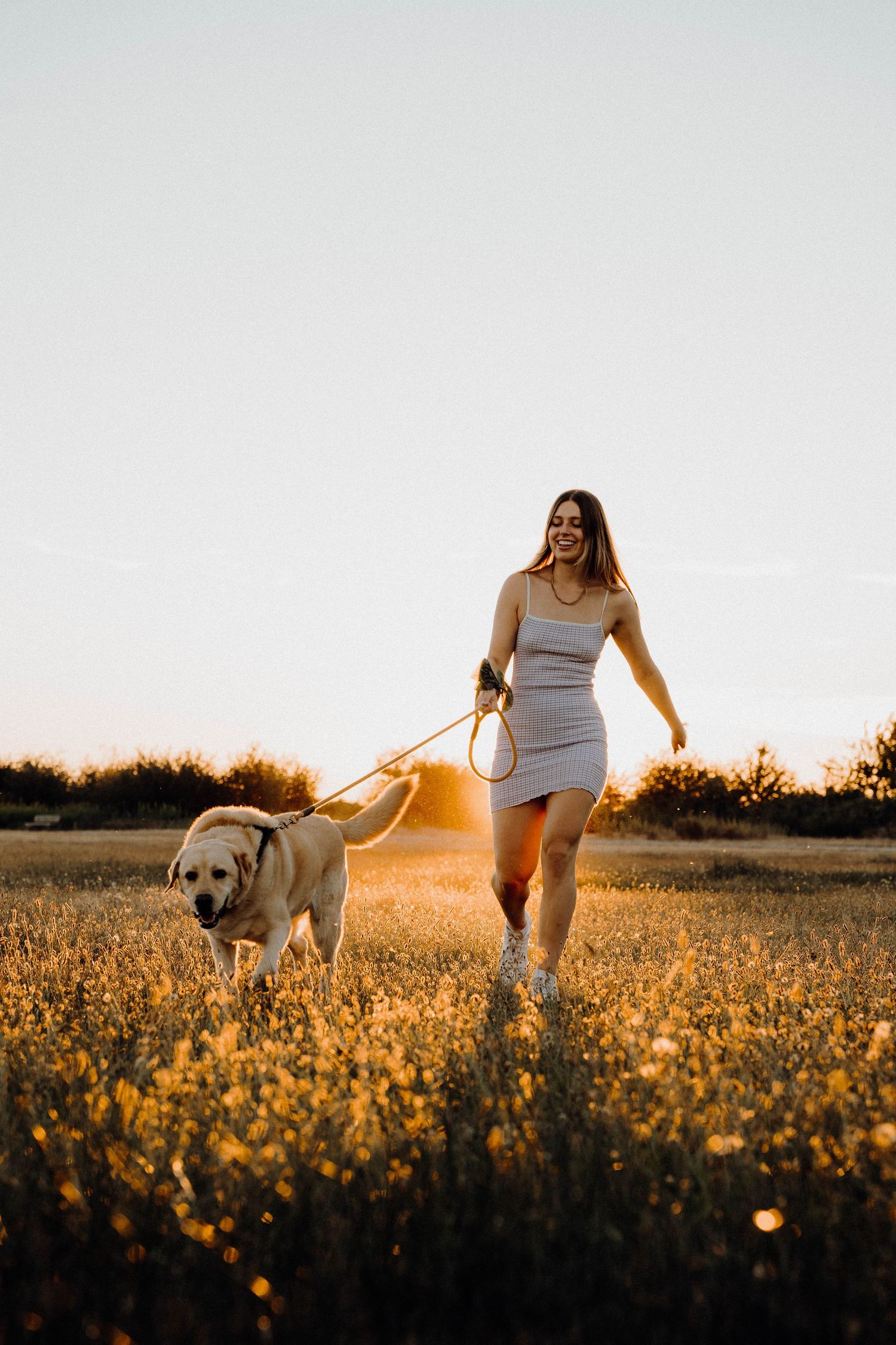 A person and their dog walk through a golden field of wildflowers at sunset creating silhouettes against the warm sky.