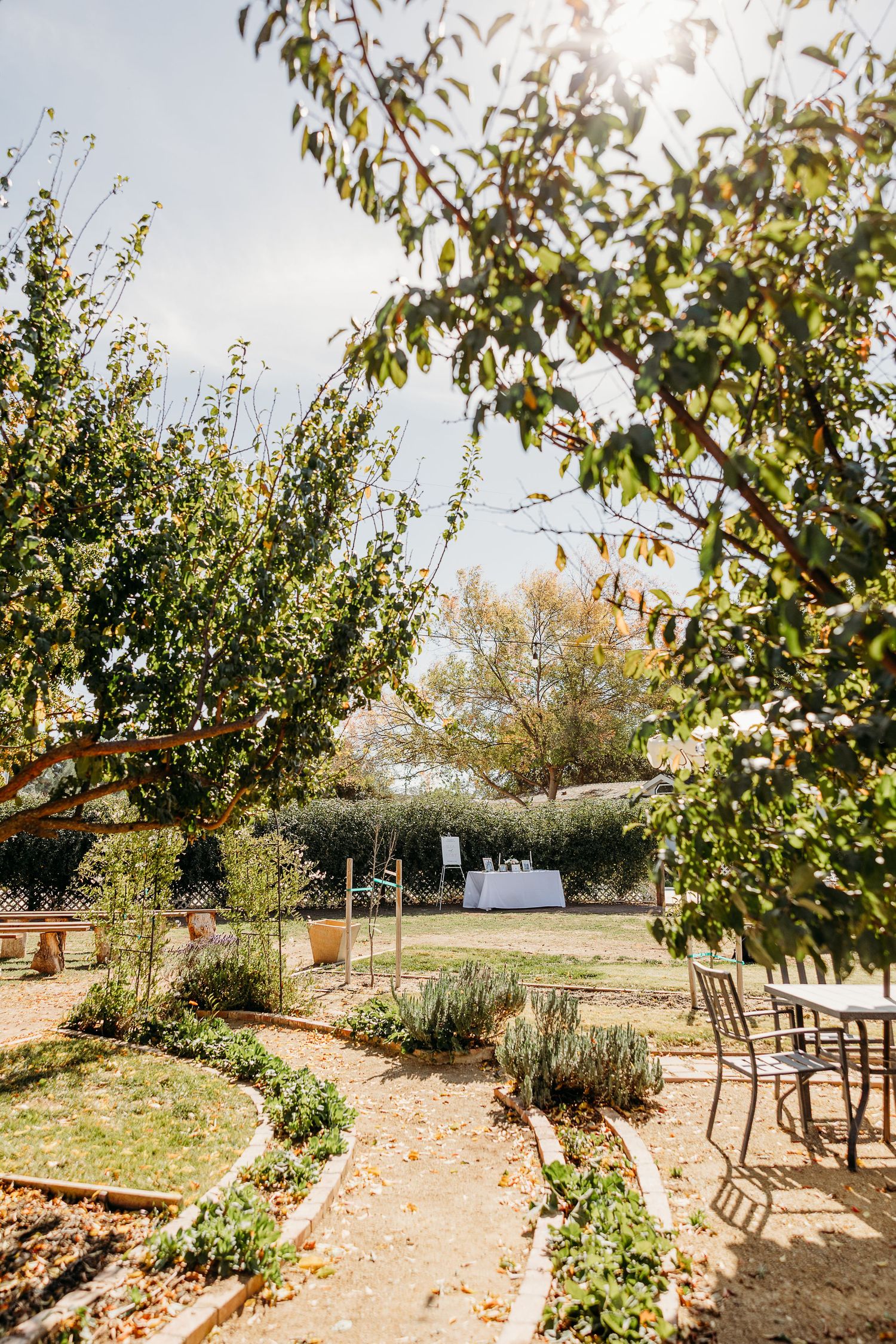 Garden pathway with scattered chairs and trees in natural outdoor wedding venue setting.